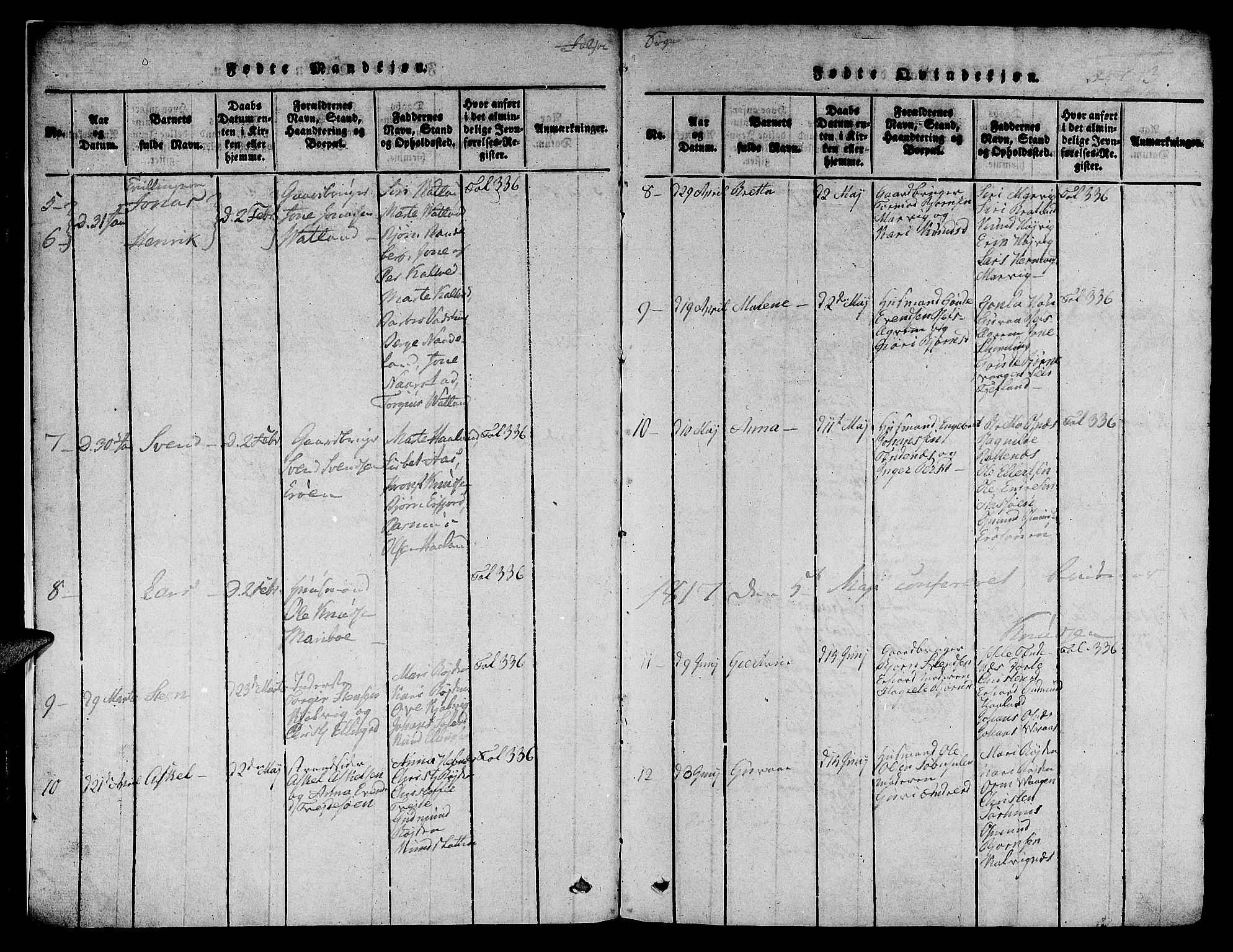 Jelsa sokneprestkontor, AV/SAST-A-101842/01/V: Parish register (copy) no. B 1 /1, 1816-1828, p. 3