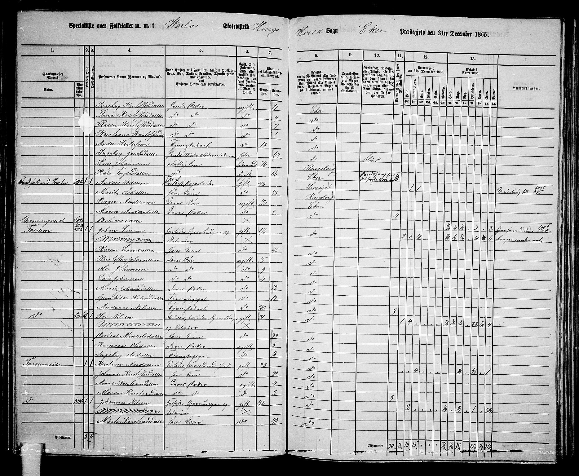 RA, 1865 census for Eiker, 1865, p. 137