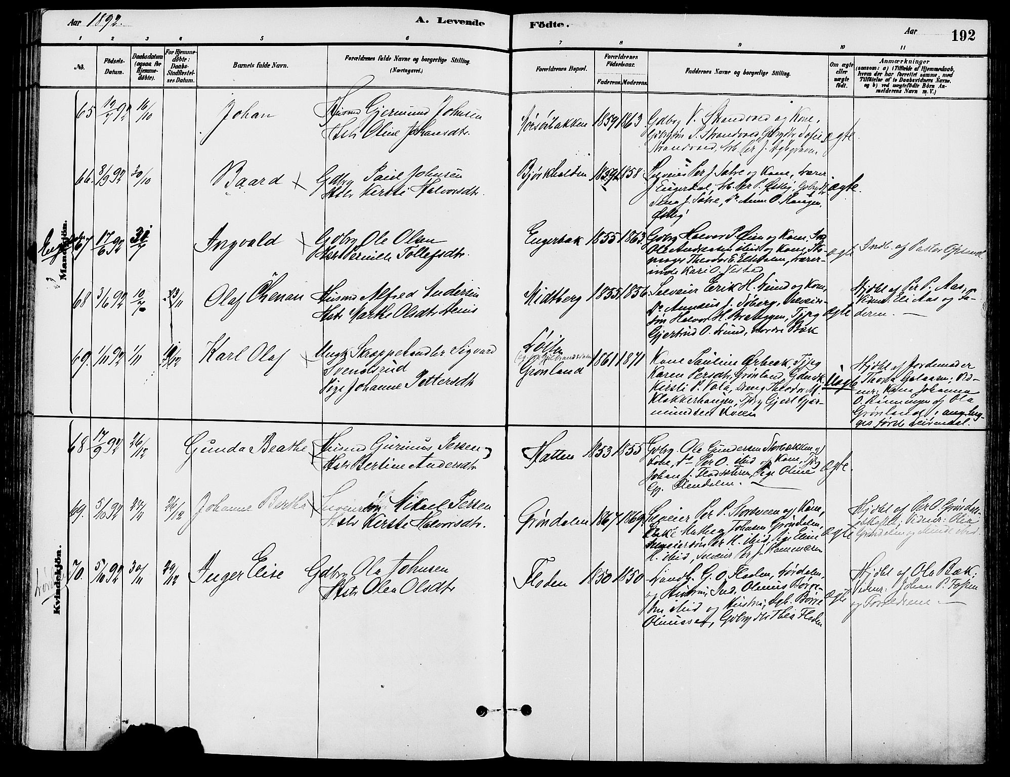 Trysil prestekontor, AV/SAH-PREST-046/H/Ha/Haa/L0008: Parish register (official) no. 8, 1881-1897, p. 192