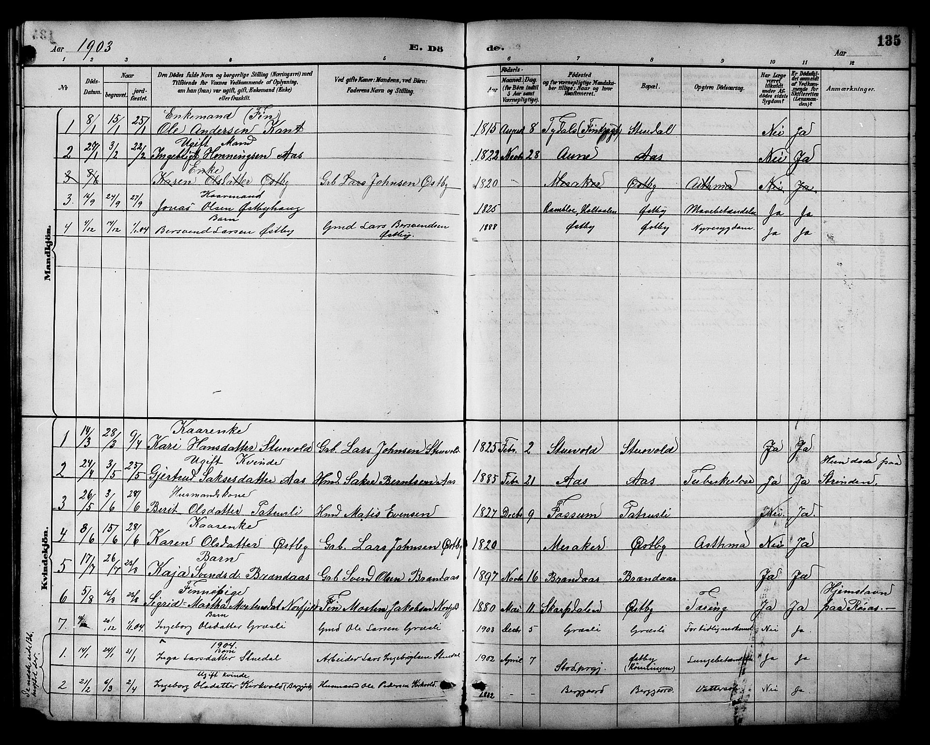 Ministerialprotokoller, klokkerbøker og fødselsregistre - Sør-Trøndelag, AV/SAT-A-1456/698/L1167: Parish register (copy) no. 698C04, 1888-1907, p. 135