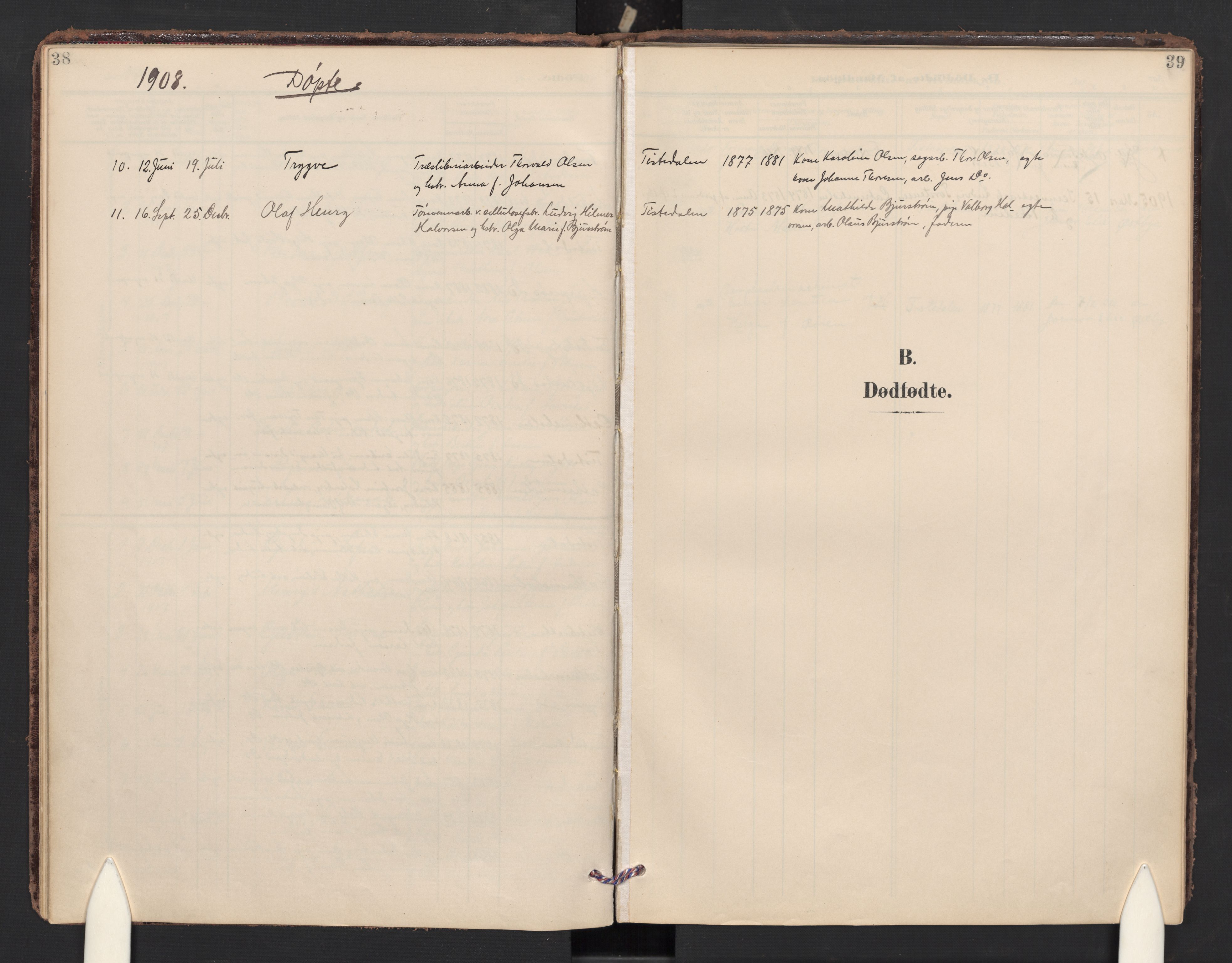 Halden prestekontor Kirkebøker, SAO/A-10909/F/Fc/L0001: Parish register (official) no. III 1, 1902-1908, p. 38-39