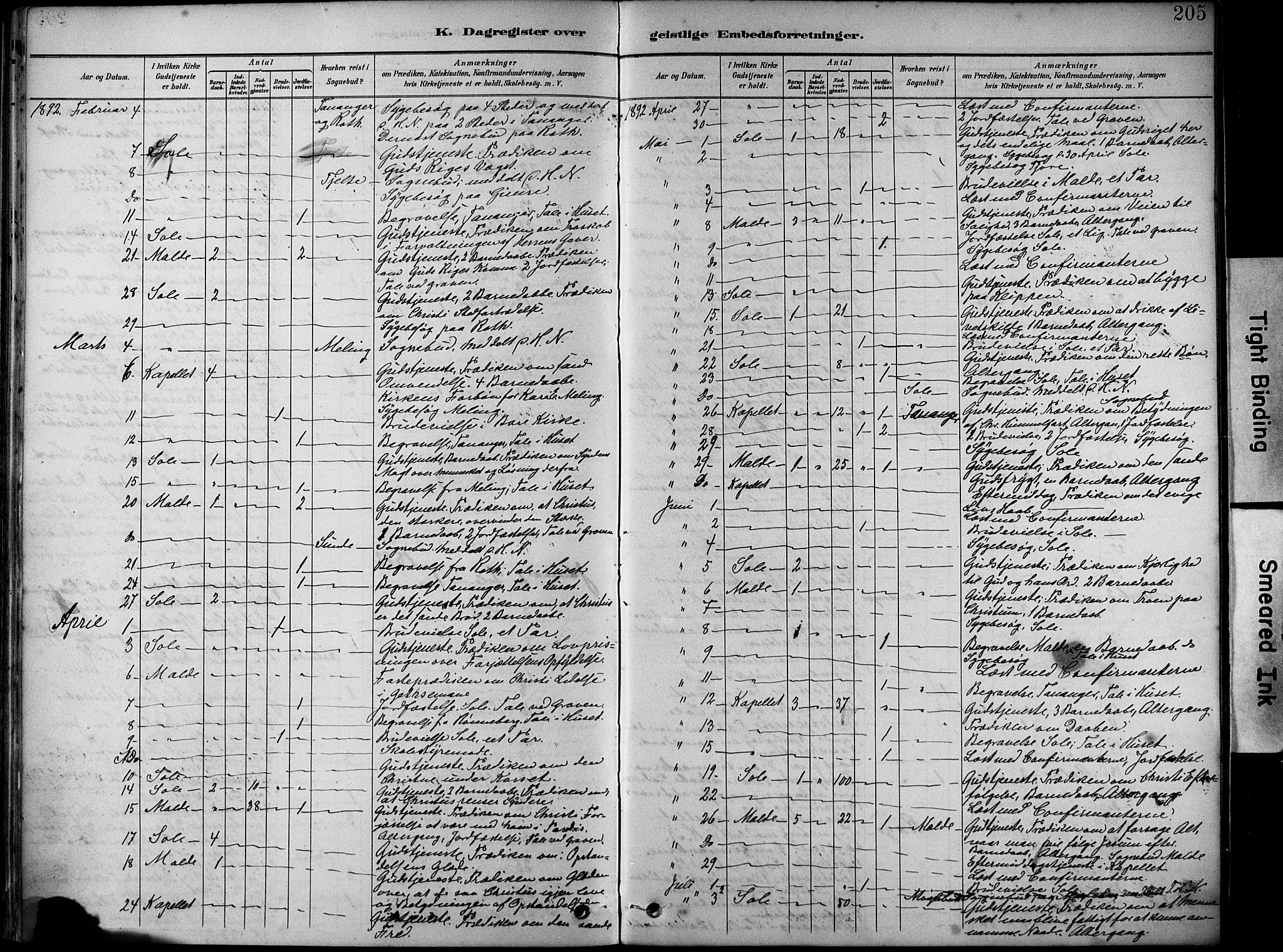 Håland sokneprestkontor, AV/SAST-A-101802/001/30BA/L0012: Parish register (official) no. A 11, 1889-1900, p. 205