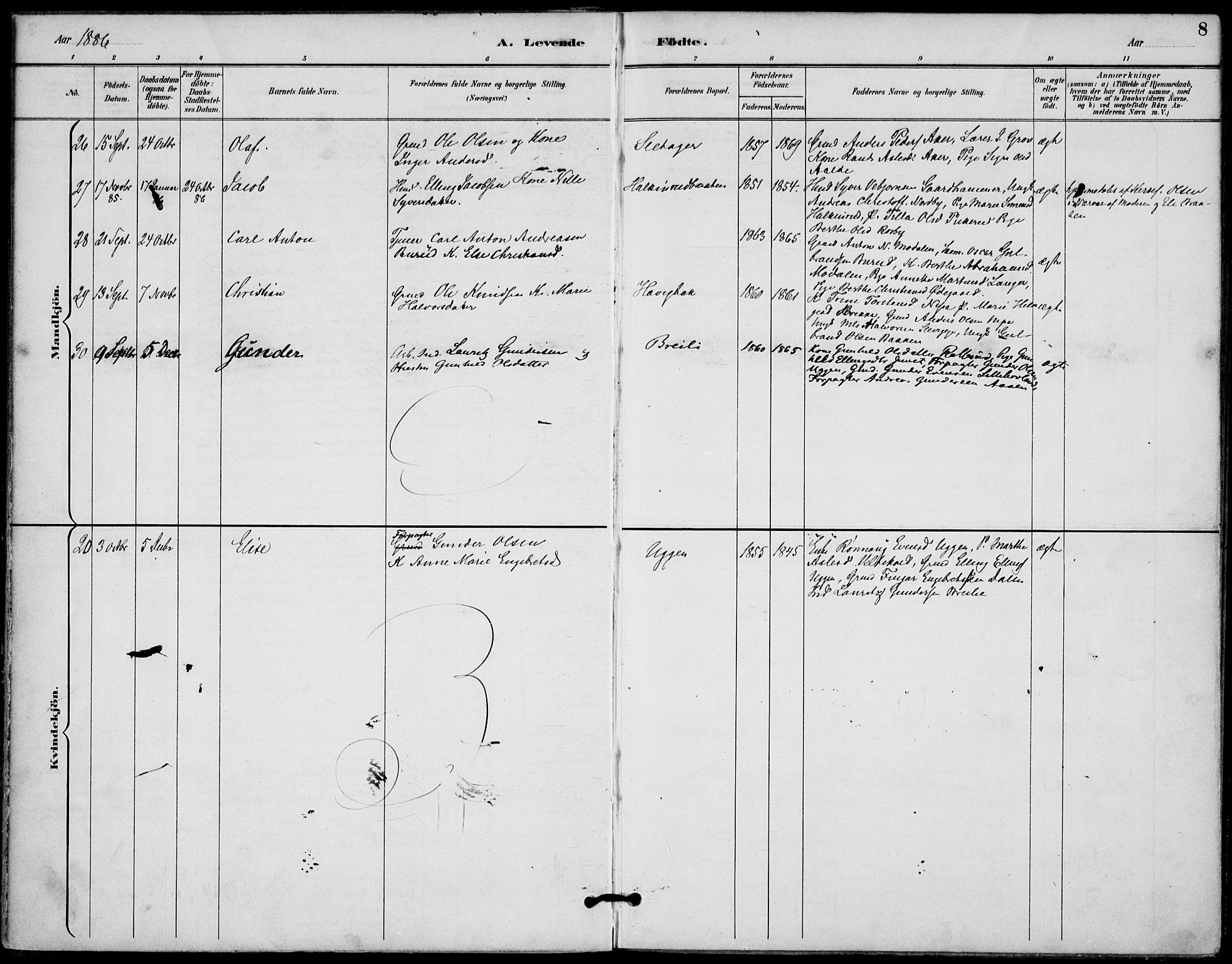 Lunder kirkebøker, AV/SAKO-A-629/F/Fa/L0001: Parish register (official) no. I 1, 1885-1912, p. 8