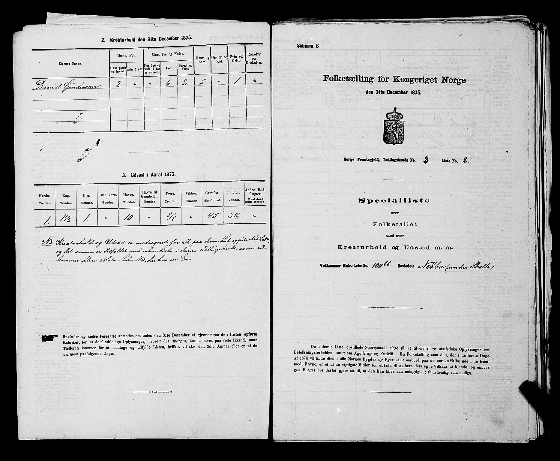 RA, 1875 census for 0113P Borge, 1875, p. 1105