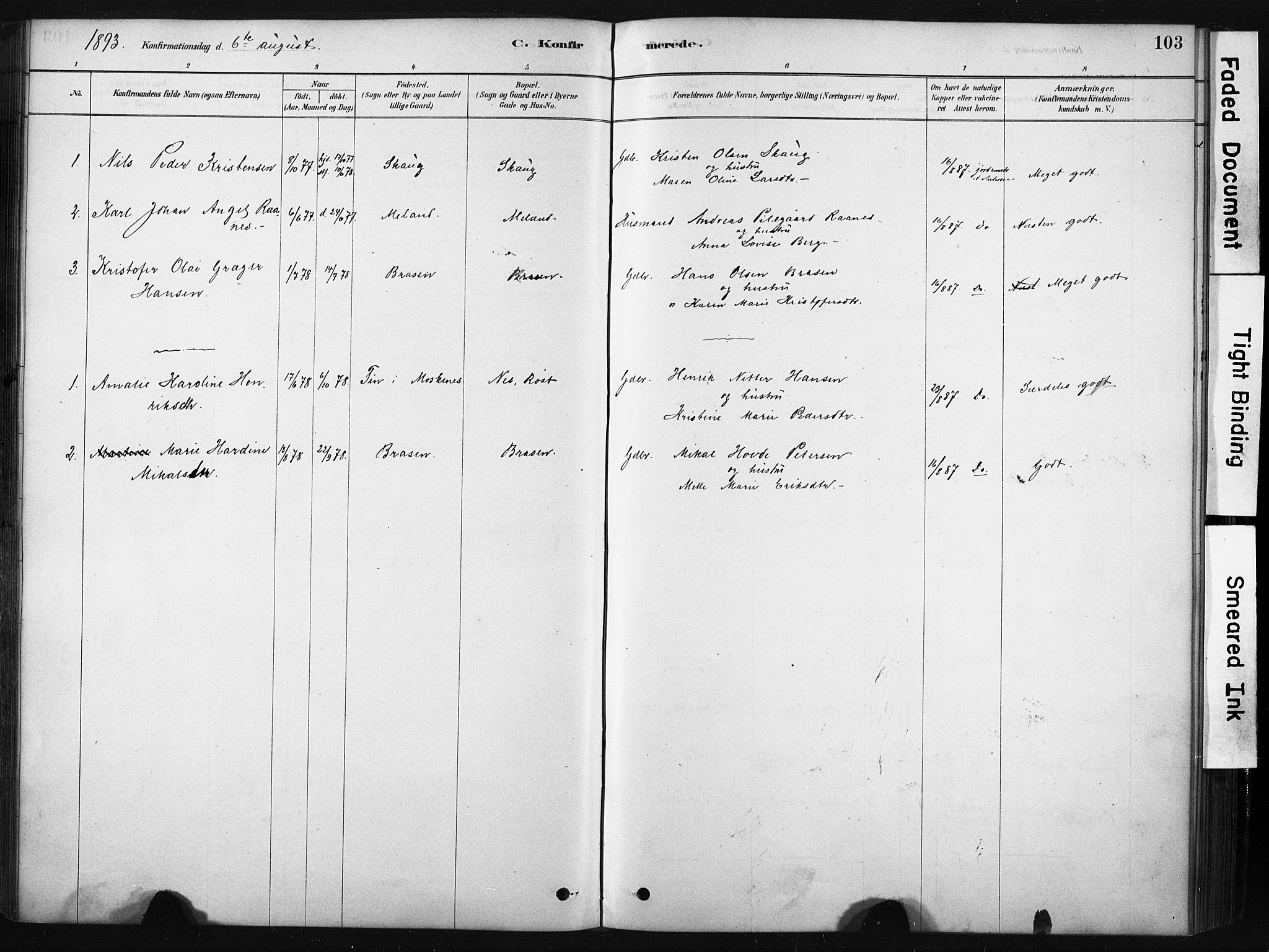 Ministerialprotokoller, klokkerbøker og fødselsregistre - Nordland, AV/SAT-A-1459/808/L0128: Parish register (official) no. 808A01, 1880-1902, p. 103