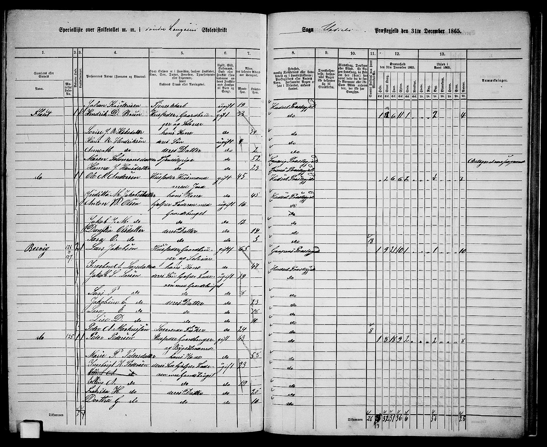 RA, 1865 census for Hadsel, 1865, p. 156