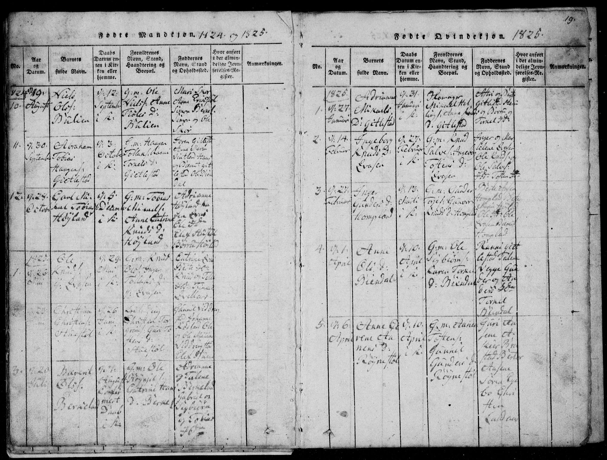 Lyngdal sokneprestkontor, AV/SAK-1111-0029/F/Fb/Fbb/L0001: Parish register (copy) no. B 1, 1816-1900, p. 19