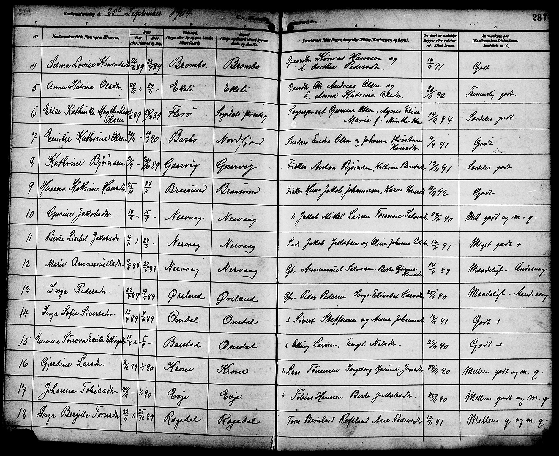 Sokndal sokneprestkontor, SAST/A-101808: Parish register (copy) no. B 6, 1892-1907, p. 237