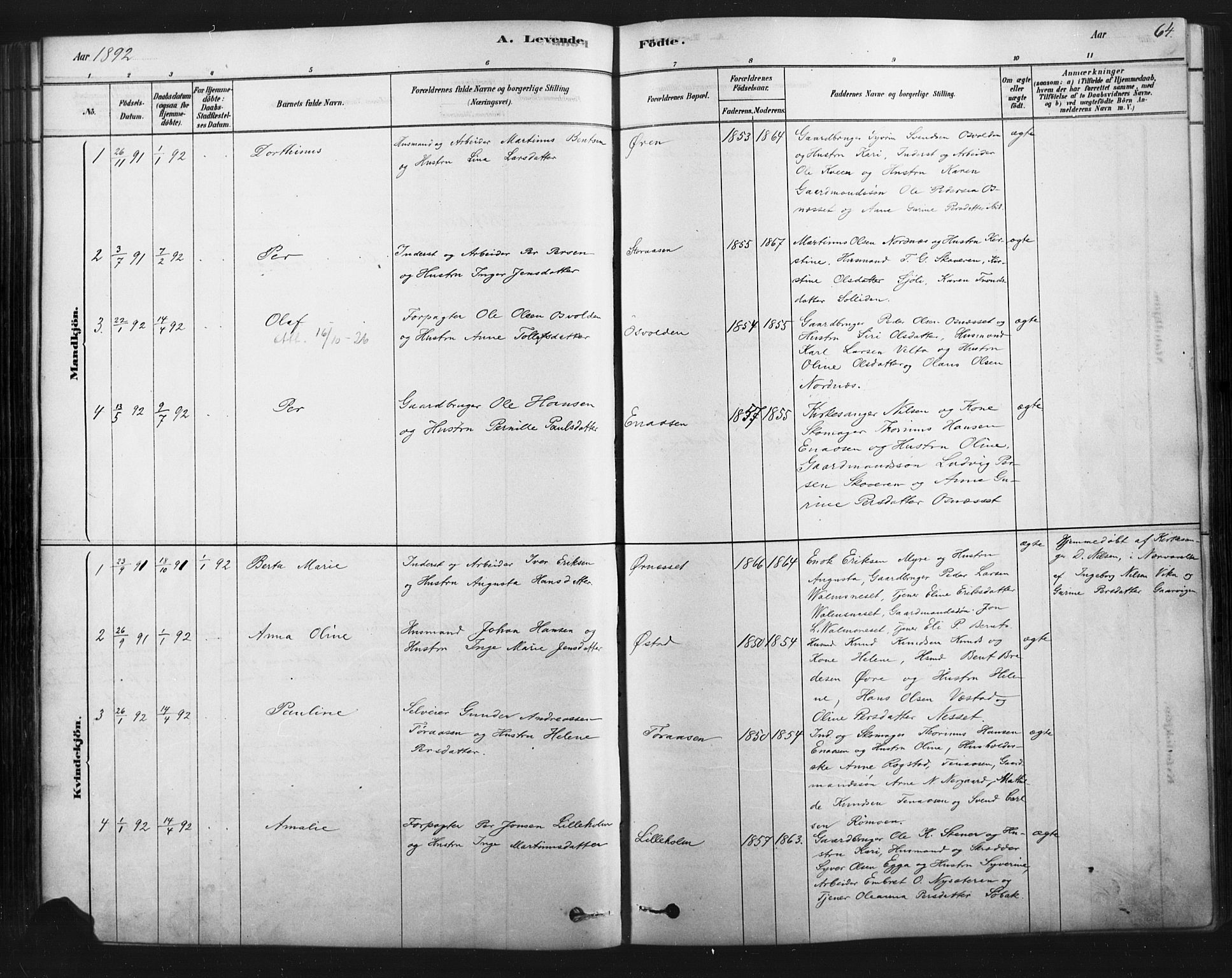 Åmot prestekontor, Hedmark, SAH/PREST-056/H/Ha/Haa/L0012: Parish register (official) no. 12, 1878-1901, p. 64