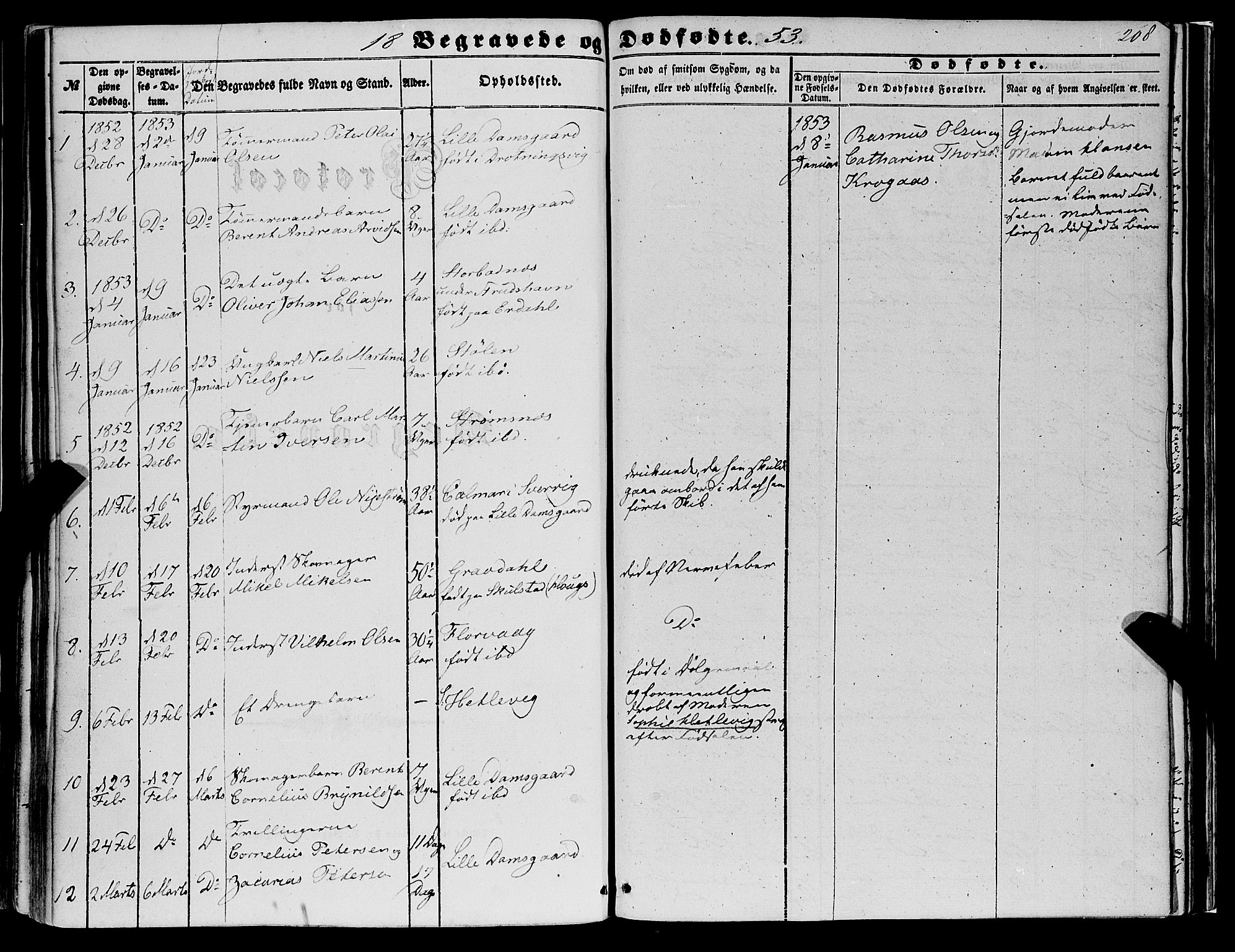 Askøy Sokneprestembete, SAB/A-74101/H/Ha/Haa/Haaa/L0008: Parish register (official) no. A 8, 1852-1862, p. 207