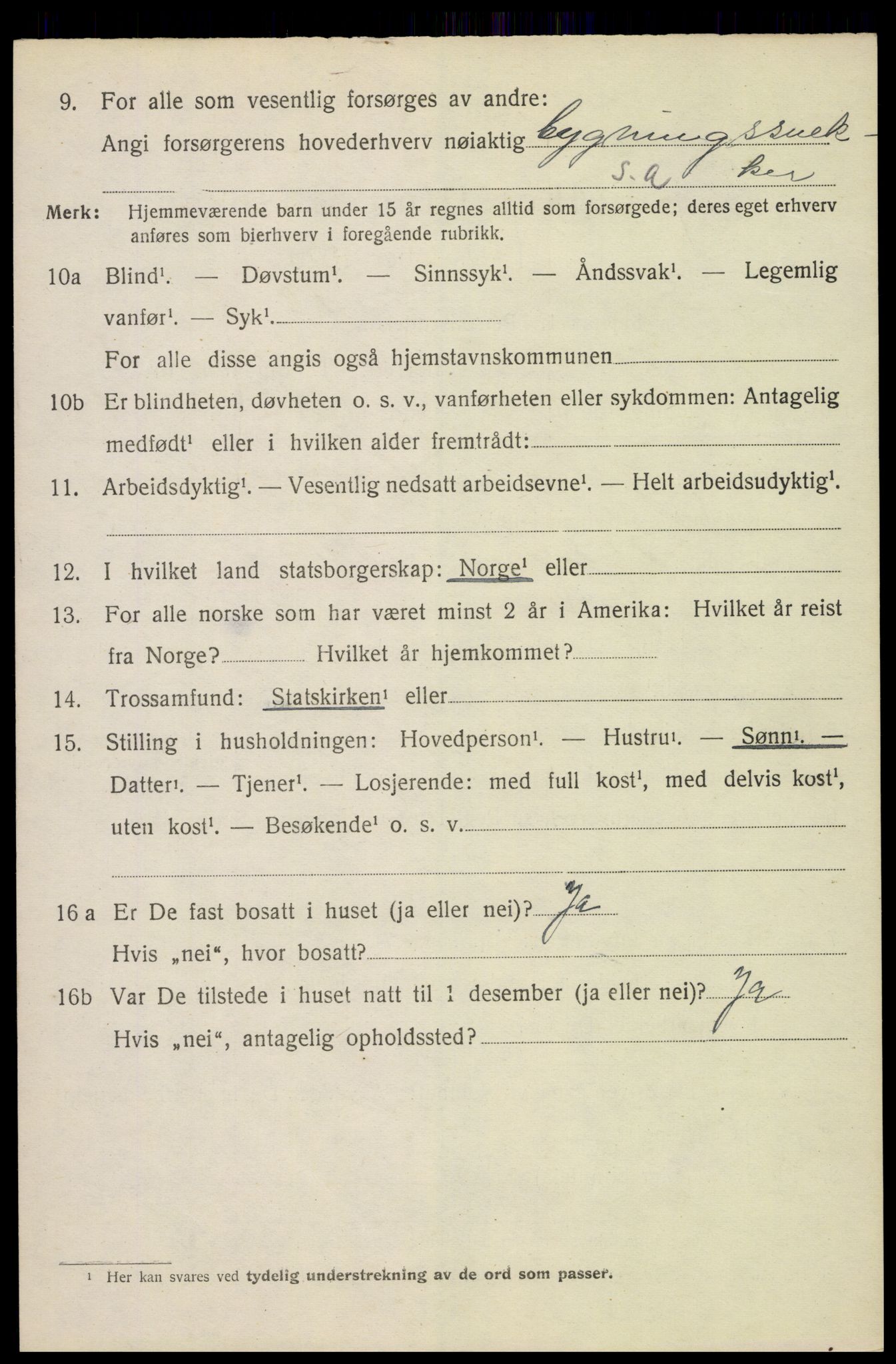 SAH, 1920 census for Furnes, 1920, p. 6078