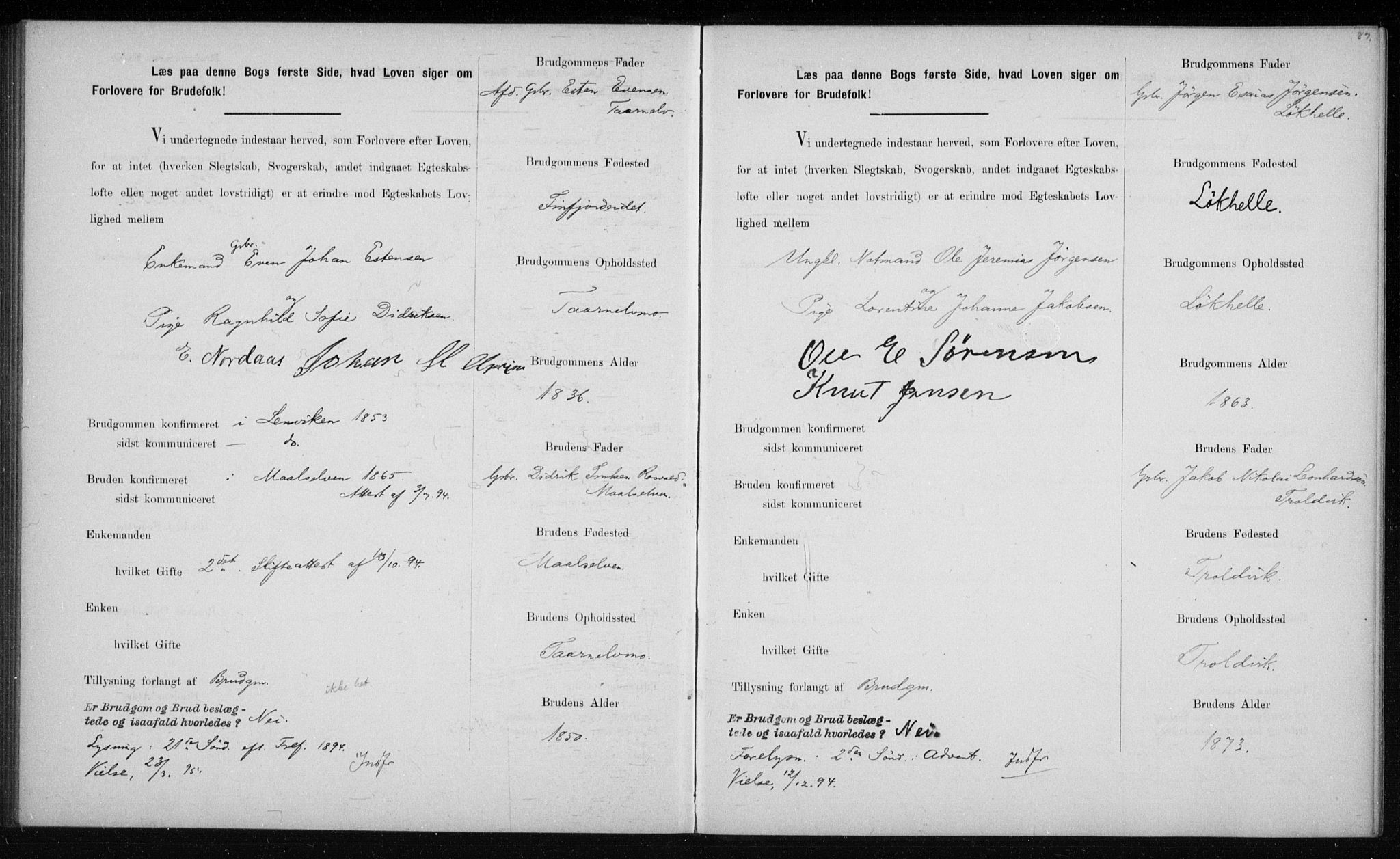 Lenvik sokneprestembete, SATØ/S-1310/I/Ie/L0129: Banns register no. 129, 1890-1895, p. 87