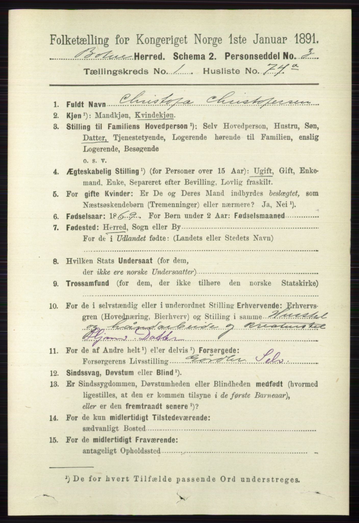 RA, 1891 census for 0715 Botne, 1891, p. 574