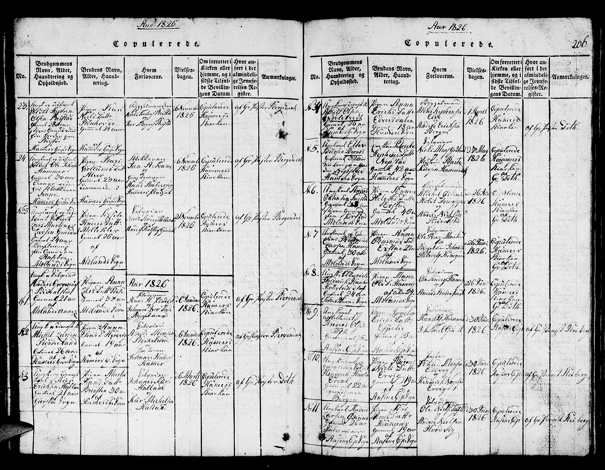 Hamre sokneprestembete, SAB/A-75501/H/Ha/Hab: Parish register (copy) no. A 1, 1816-1826, p. 206