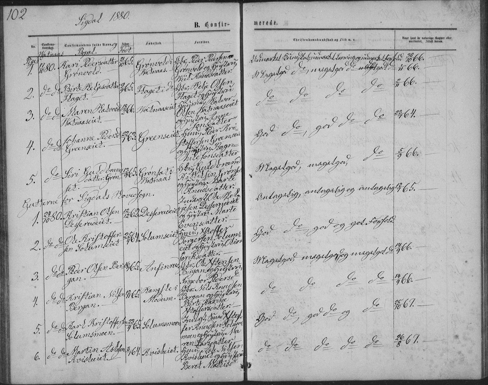 Sigdal kirkebøker, AV/SAKO-A-245/G/Ga/L0004: Parish register (copy) no. I 4, 1879-1885, p. 102