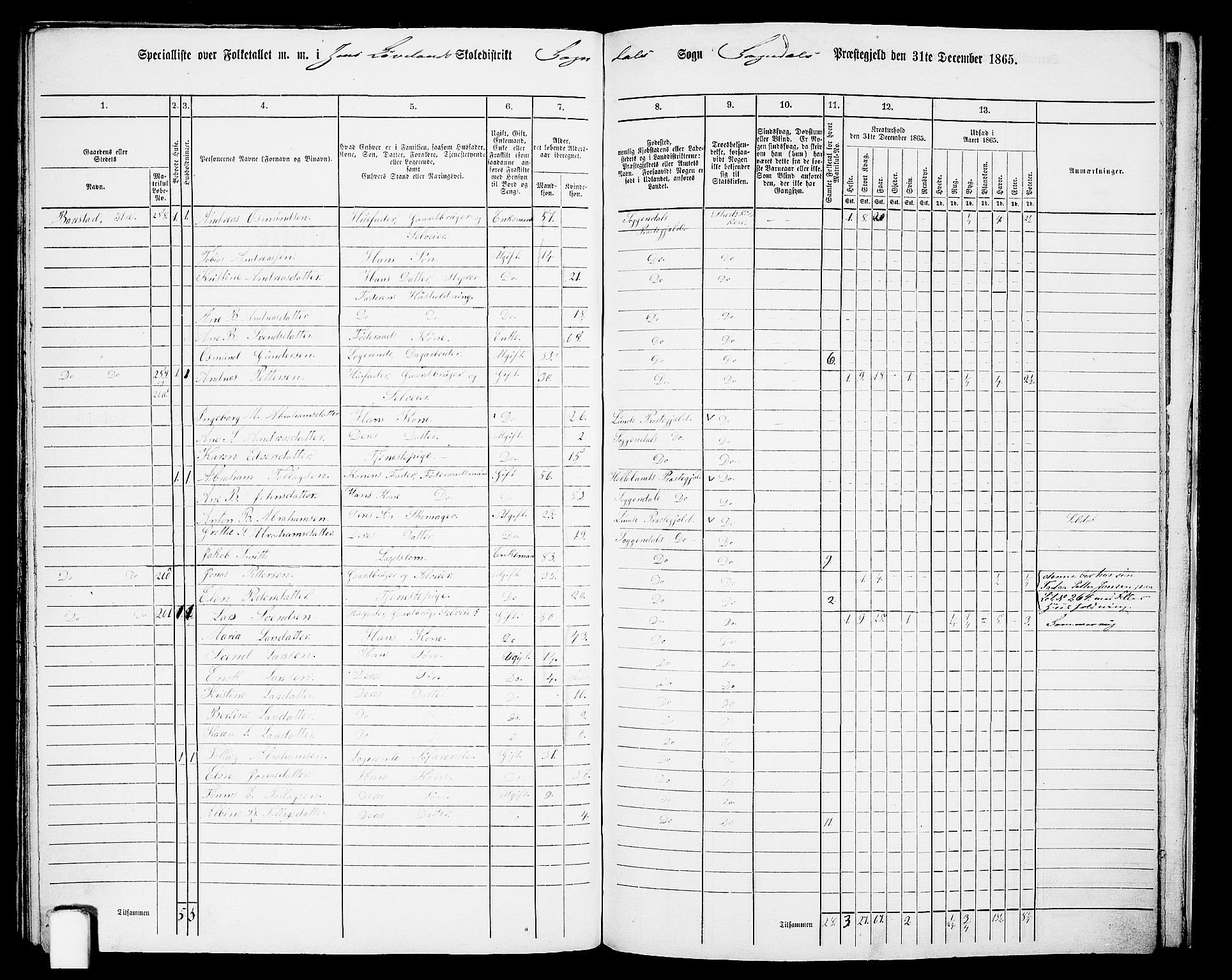 RA, 1865 census for Sokndal, 1865, p. 113