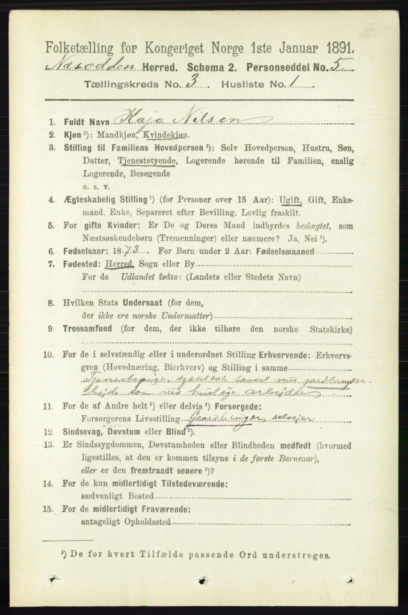 RA, 1891 census for 0216 Nesodden, 1891, p. 1067