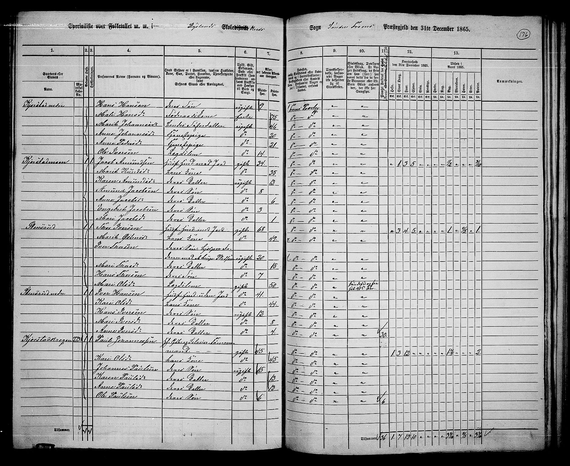 RA, 1865 census for Sør-Fron, 1865, p. 141