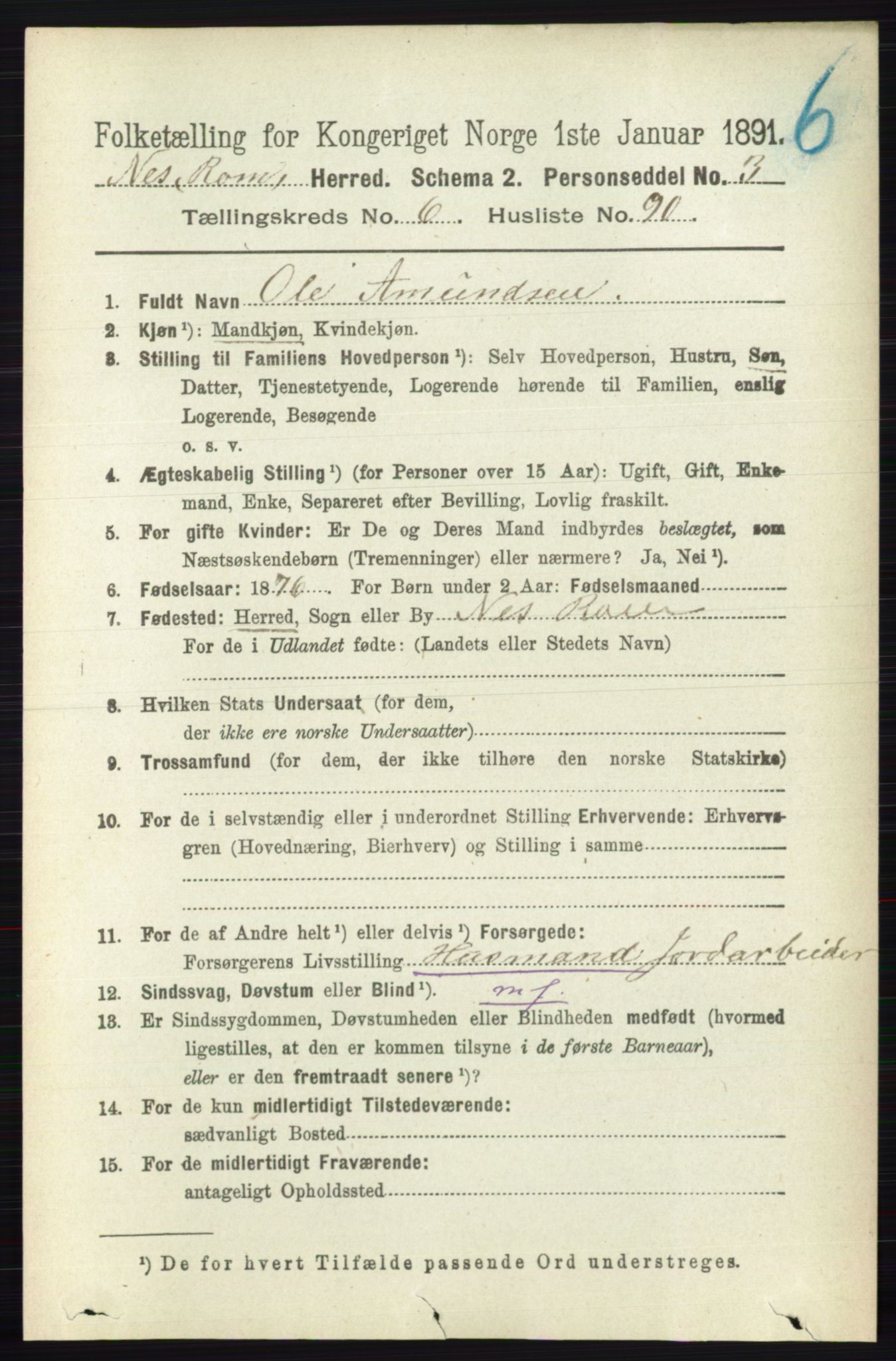 RA, 1891 census for 0236 Nes, 1891, p. 3934