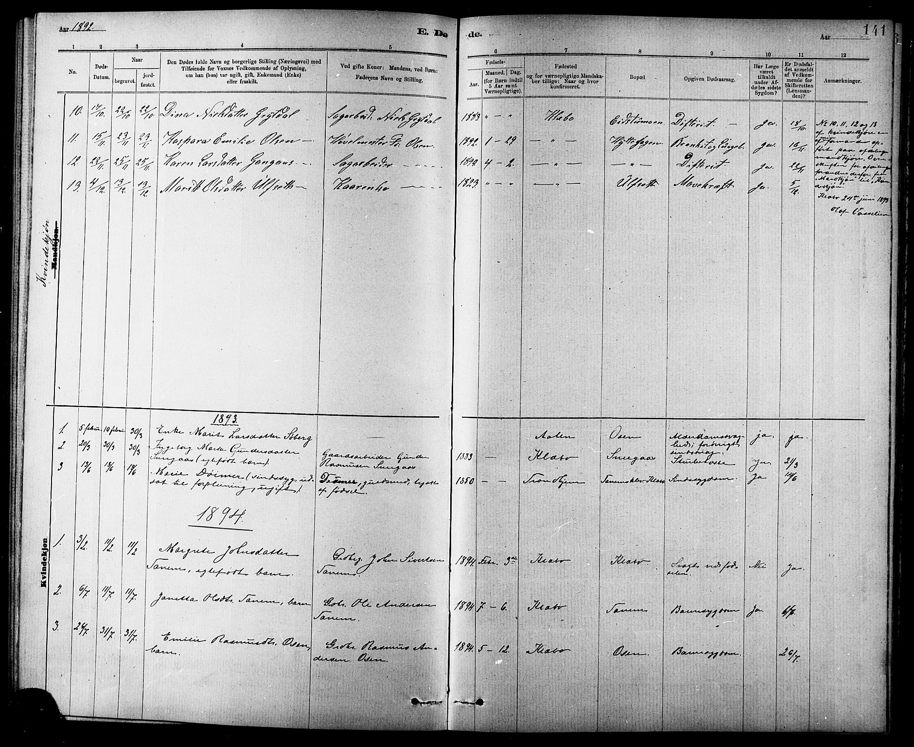 Ministerialprotokoller, klokkerbøker og fødselsregistre - Sør-Trøndelag, SAT/A-1456/618/L0452: Parish register (copy) no. 618C03, 1884-1906, p. 141