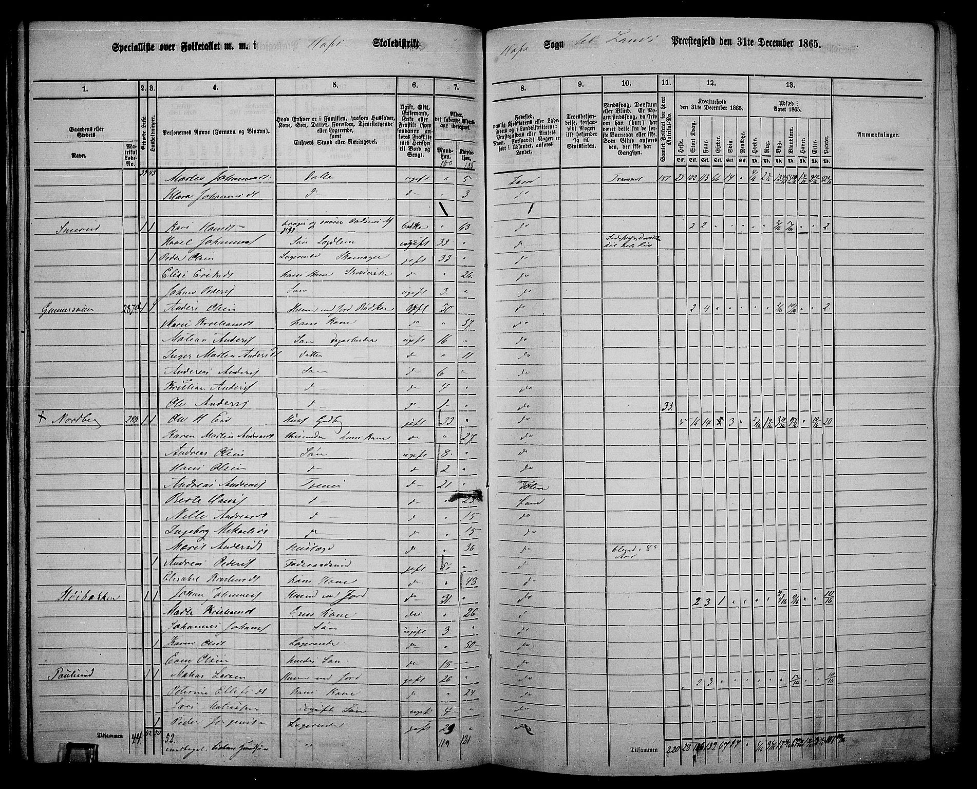 RA, 1865 census for Land, 1865, p. 323