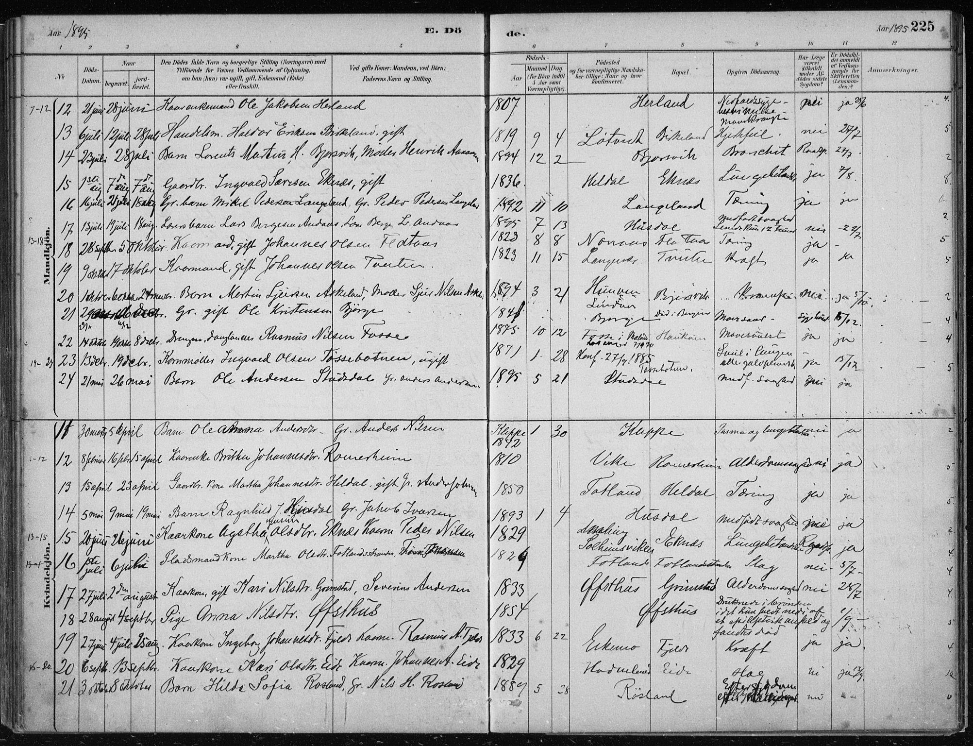 Hosanger sokneprestembete, AV/SAB-A-75801/H/Haa: Parish register (official) no. B  1, 1880-1896, p. 225