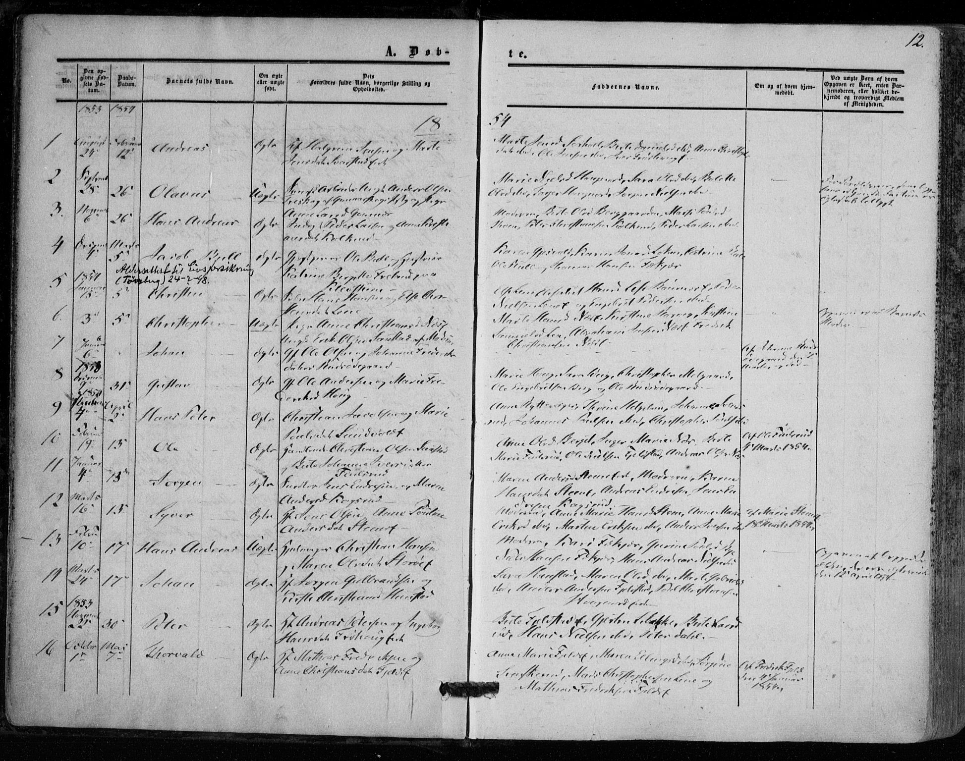 Hole kirkebøker, AV/SAKO-A-228/F/Fa/L0006: Parish register (official) no. I 6, 1852-1872, p. 12