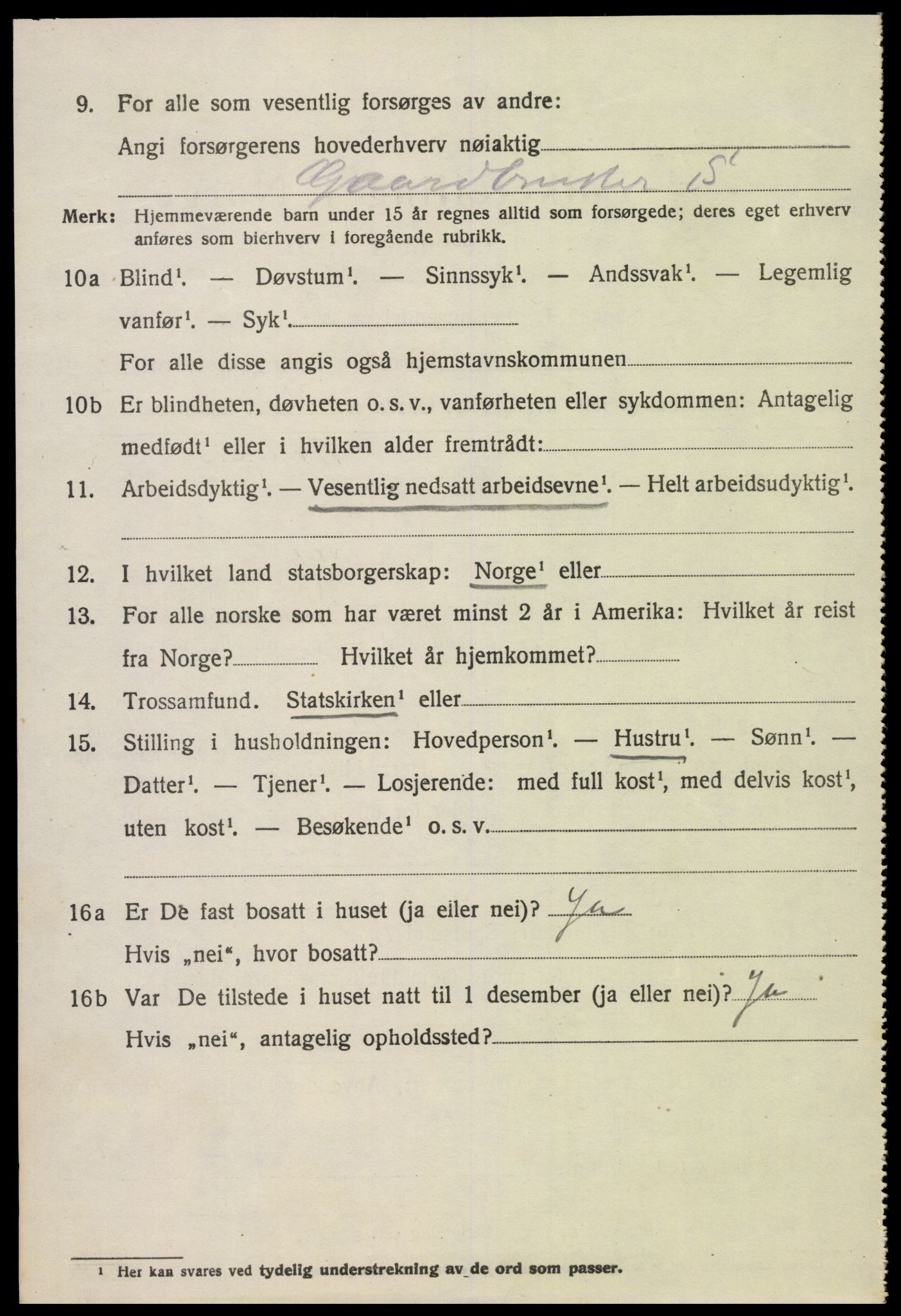 SAK, 1920 census for Hornnes, 1920, p. 2526