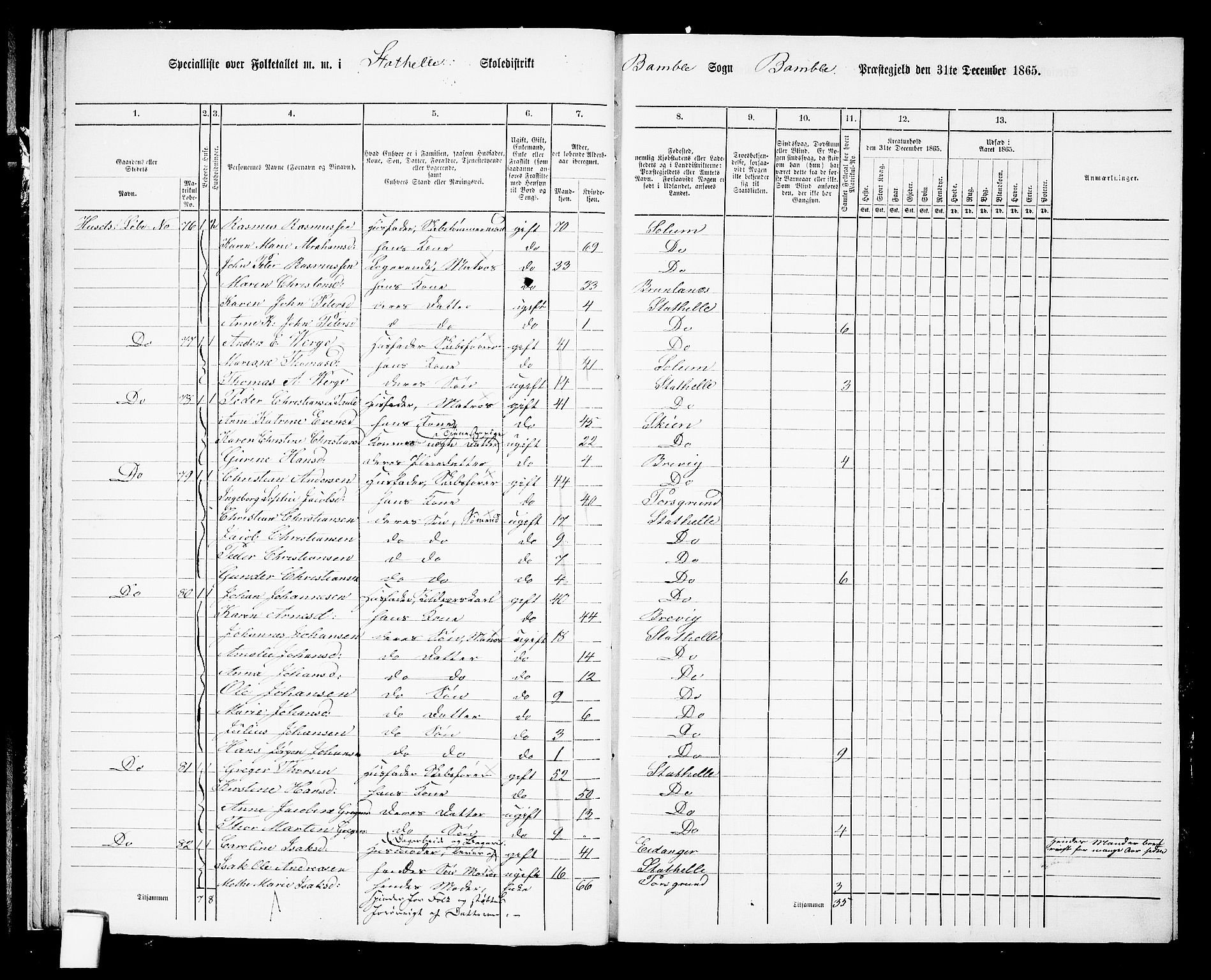 RA, 1865 census for Bamble, 1865, p. 243