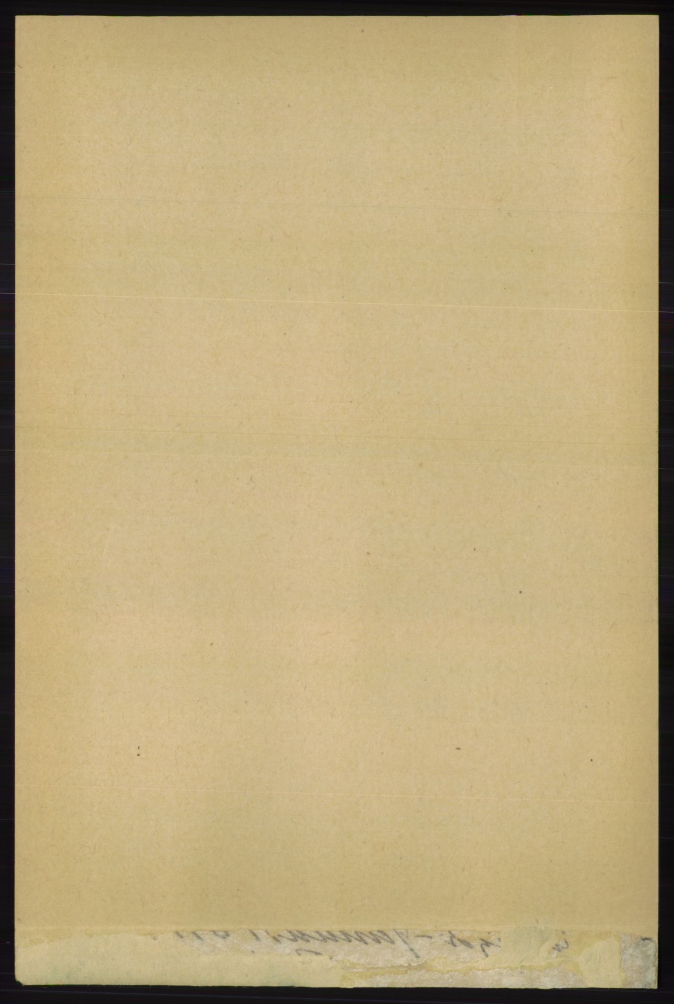 RA, 1891 census for 1139 Nedstrand, 1891, p. 1856
