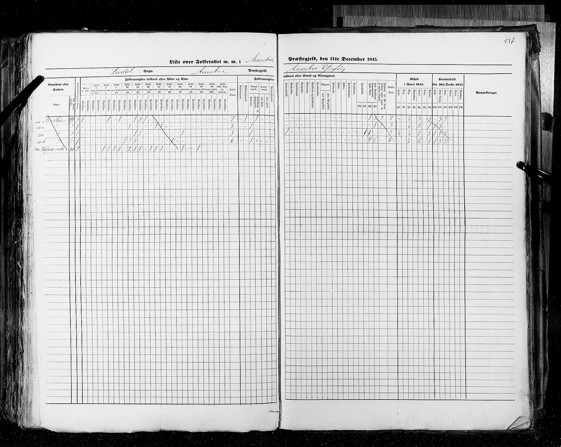 RA, Census 1845, vol. 4: Buskerud amt og Jarlsberg og Larvik amt, 1845, p. 438