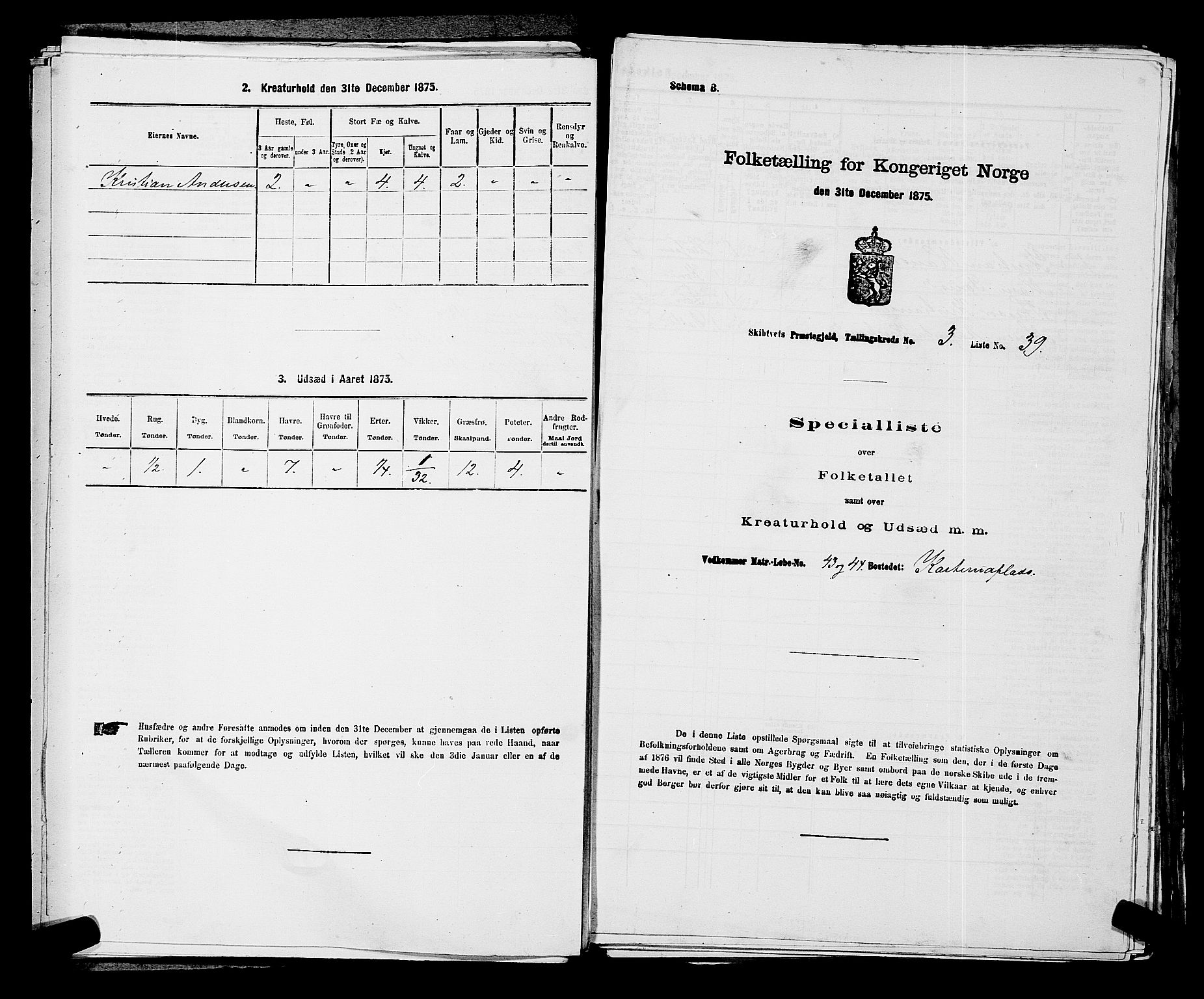 RA, 1875 census for 0127P Skiptvet, 1875, p. 504