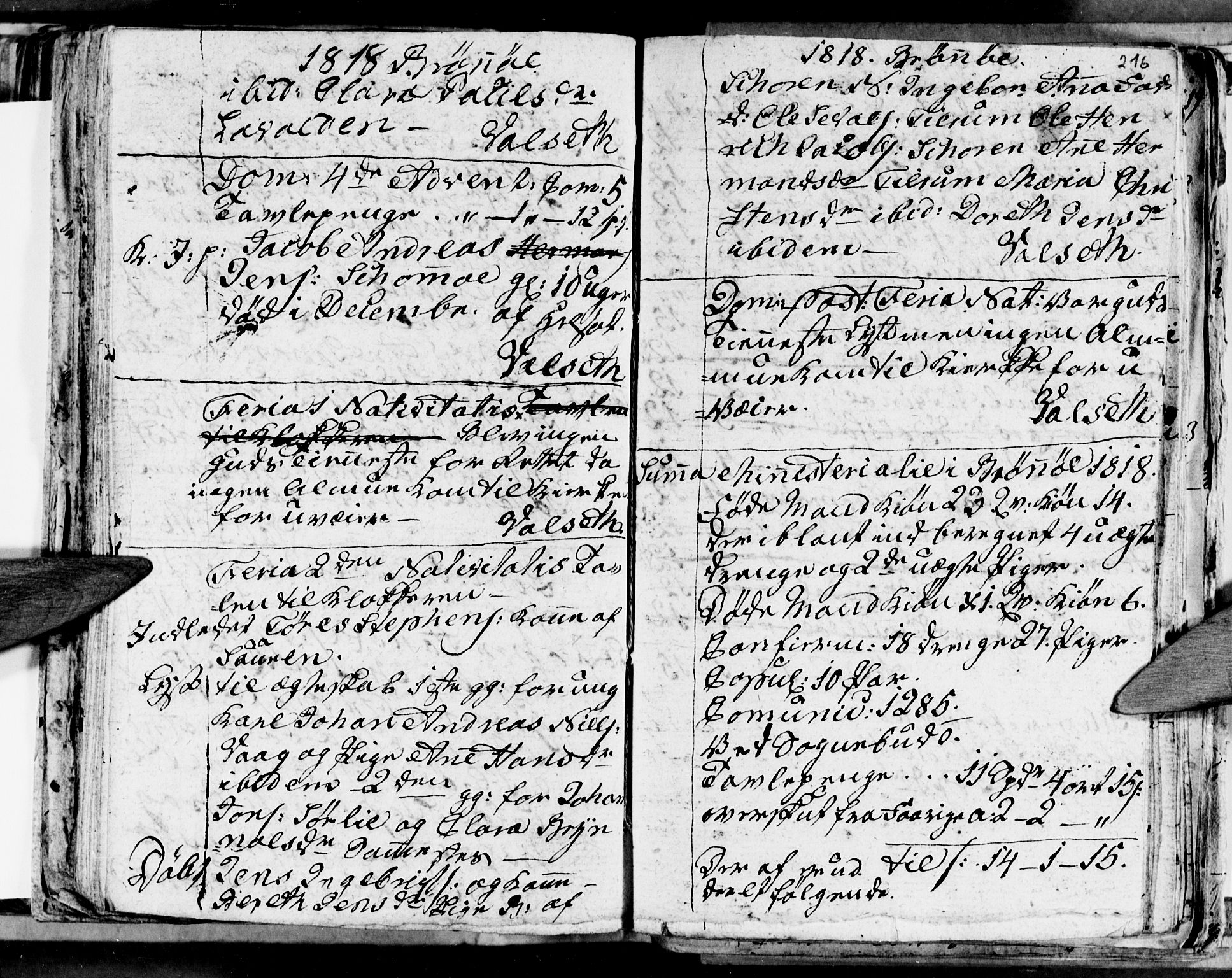 Ministerialprotokoller, klokkerbøker og fødselsregistre - Nordland, AV/SAT-A-1459/813/L0209: Parish register (copy) no. 813C01, 1803-1821, p. 216