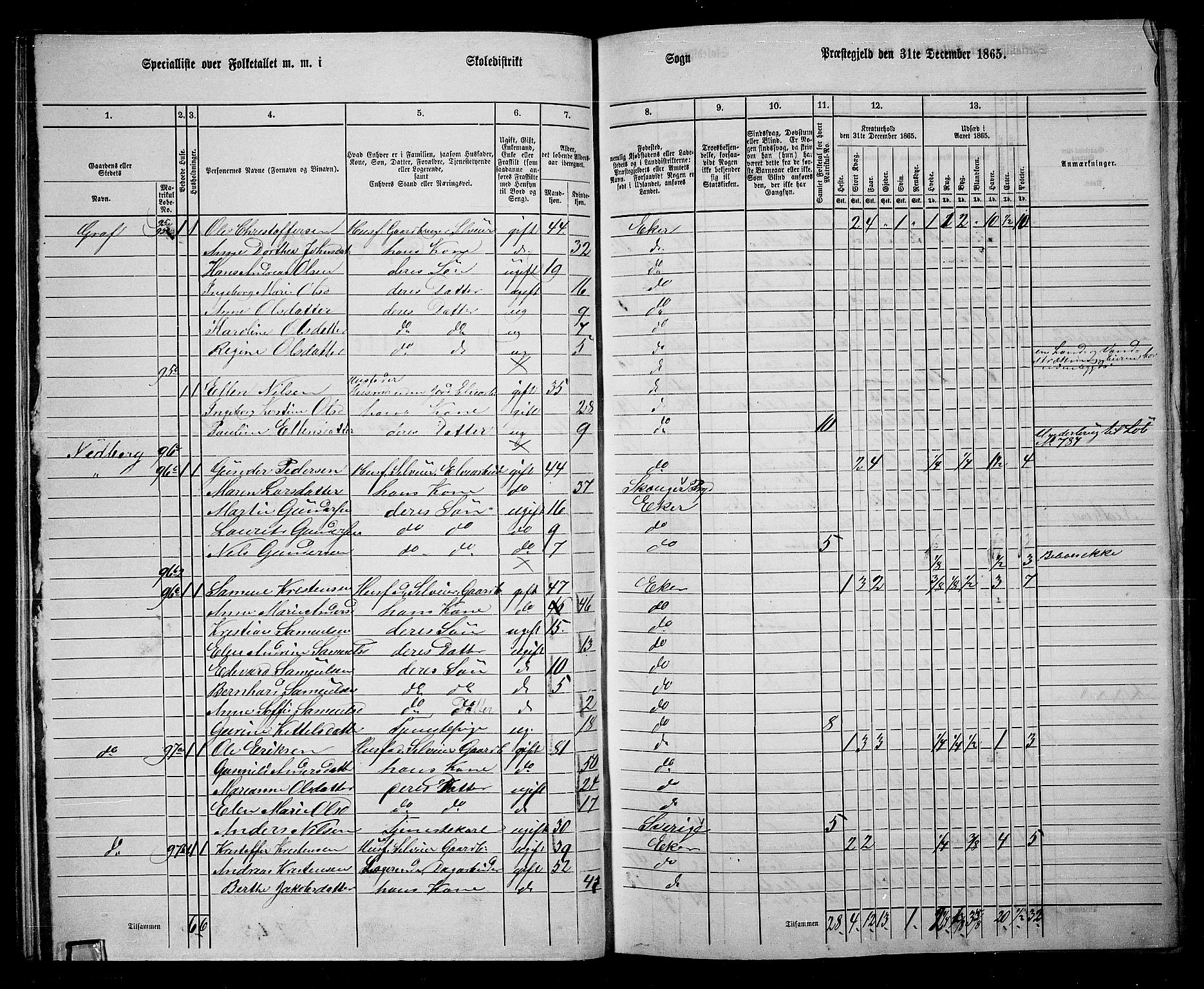 RA, 1865 census for Eiker, 1865, p. 31