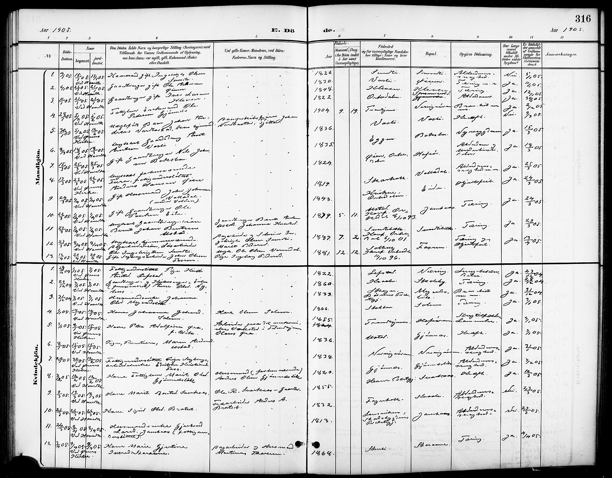 Ministerialprotokoller, klokkerbøker og fødselsregistre - Sør-Trøndelag, SAT/A-1456/668/L0819: Parish register (copy) no. 668C08, 1899-1912, p. 316