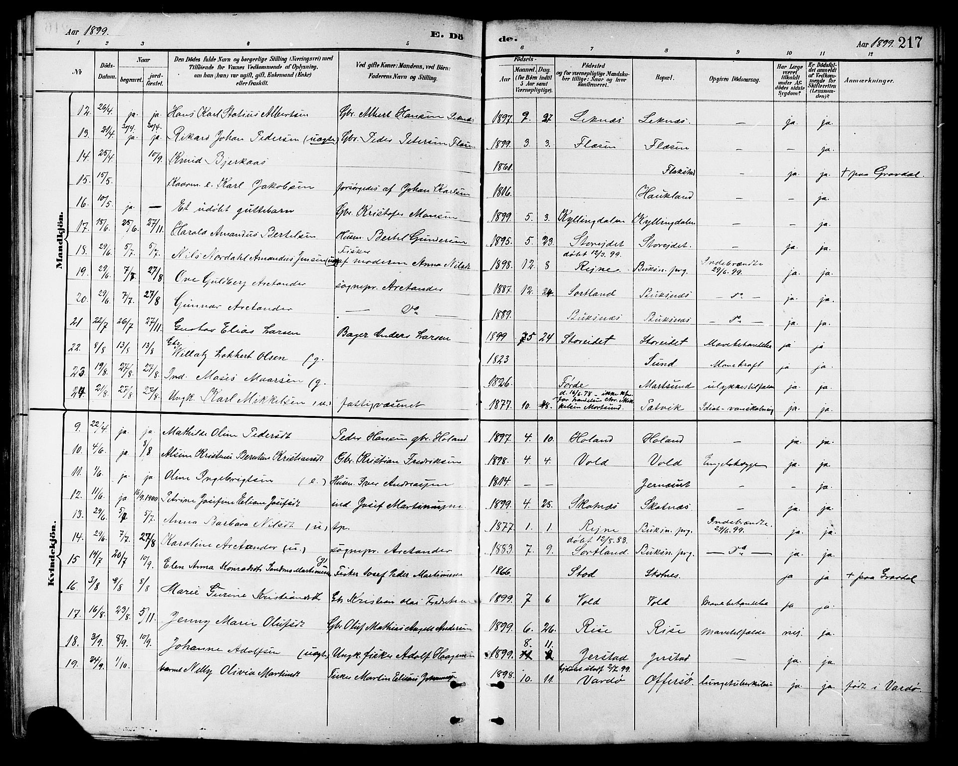 Ministerialprotokoller, klokkerbøker og fødselsregistre - Nordland, AV/SAT-A-1459/881/L1167: Parish register (copy) no. 881C04, 1886-1899, p. 217