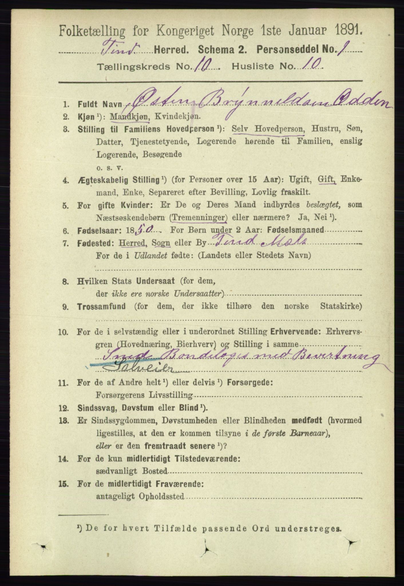 RA, 1891 census for 0826 Tinn, 1891, p. 2018