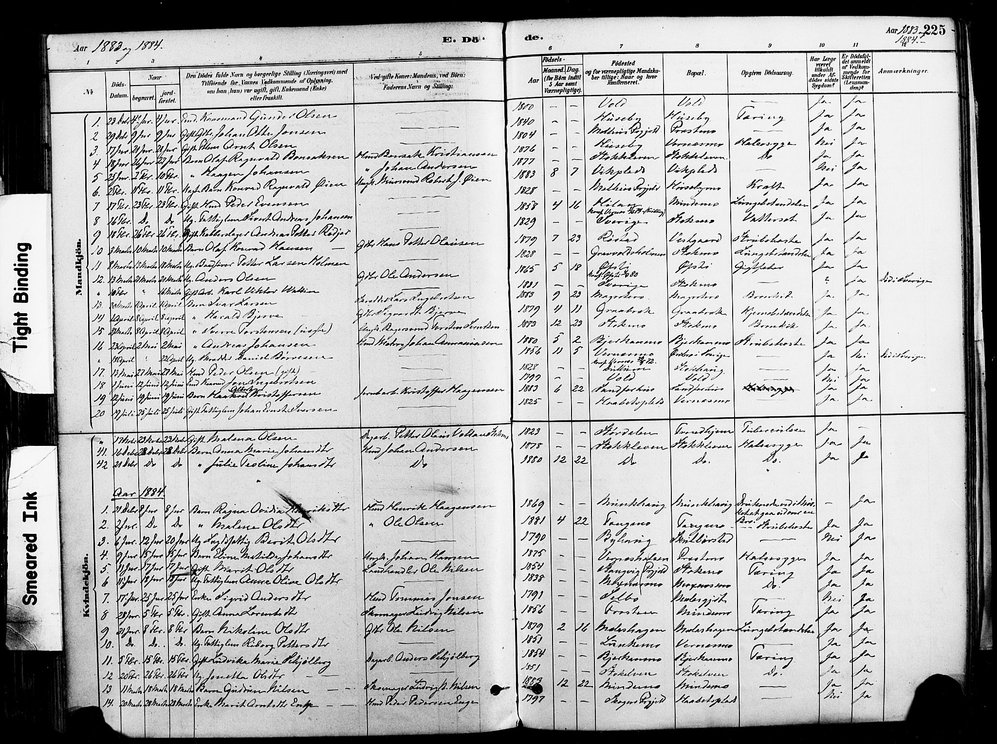 Ministerialprotokoller, klokkerbøker og fødselsregistre - Nord-Trøndelag, SAT/A-1458/709/L0077: Parish register (official) no. 709A17, 1880-1895, p. 225