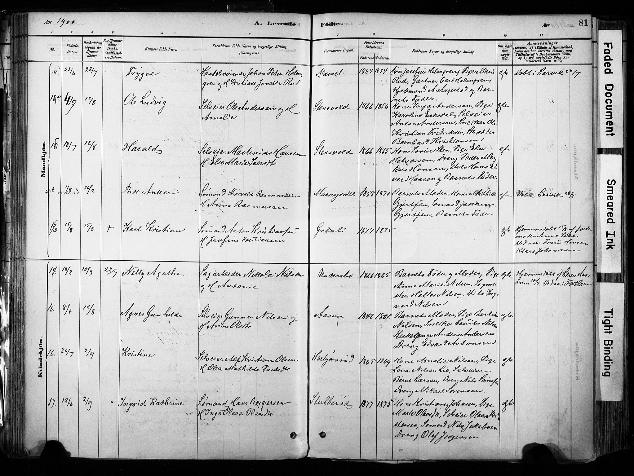 Hedrum kirkebøker, AV/SAKO-A-344/F/Fa/L0009: Parish register (official) no. I 9, 1881-1903, p. 81