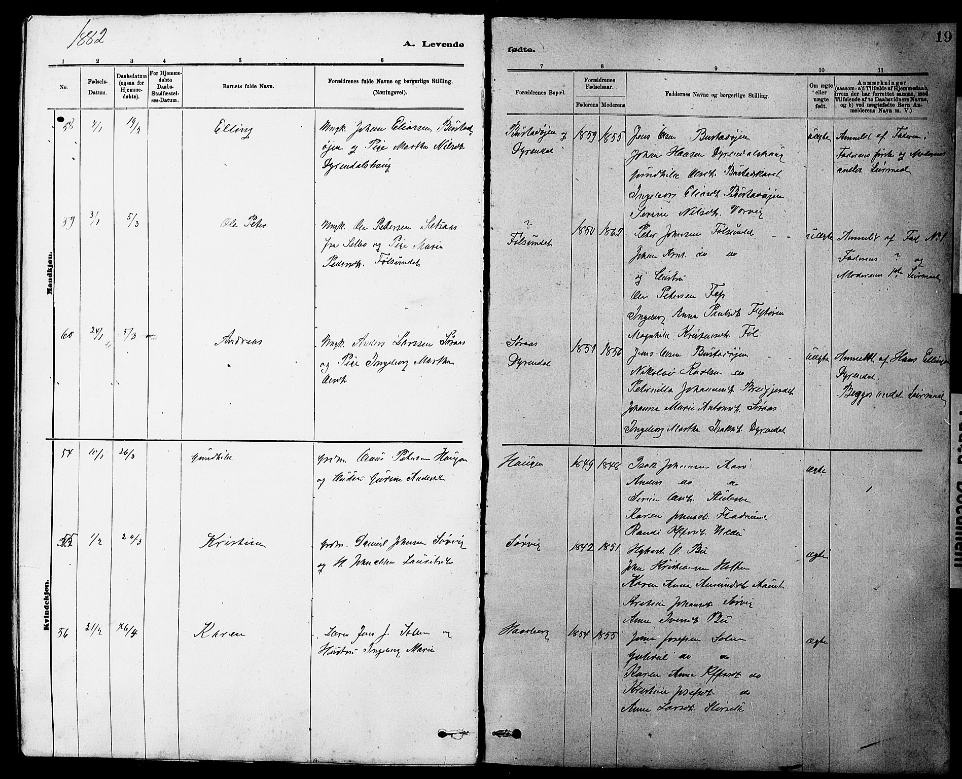 Ministerialprotokoller, klokkerbøker og fødselsregistre - Sør-Trøndelag, AV/SAT-A-1456/647/L0636: Parish register (copy) no. 647C01, 1881-1884, p. 19