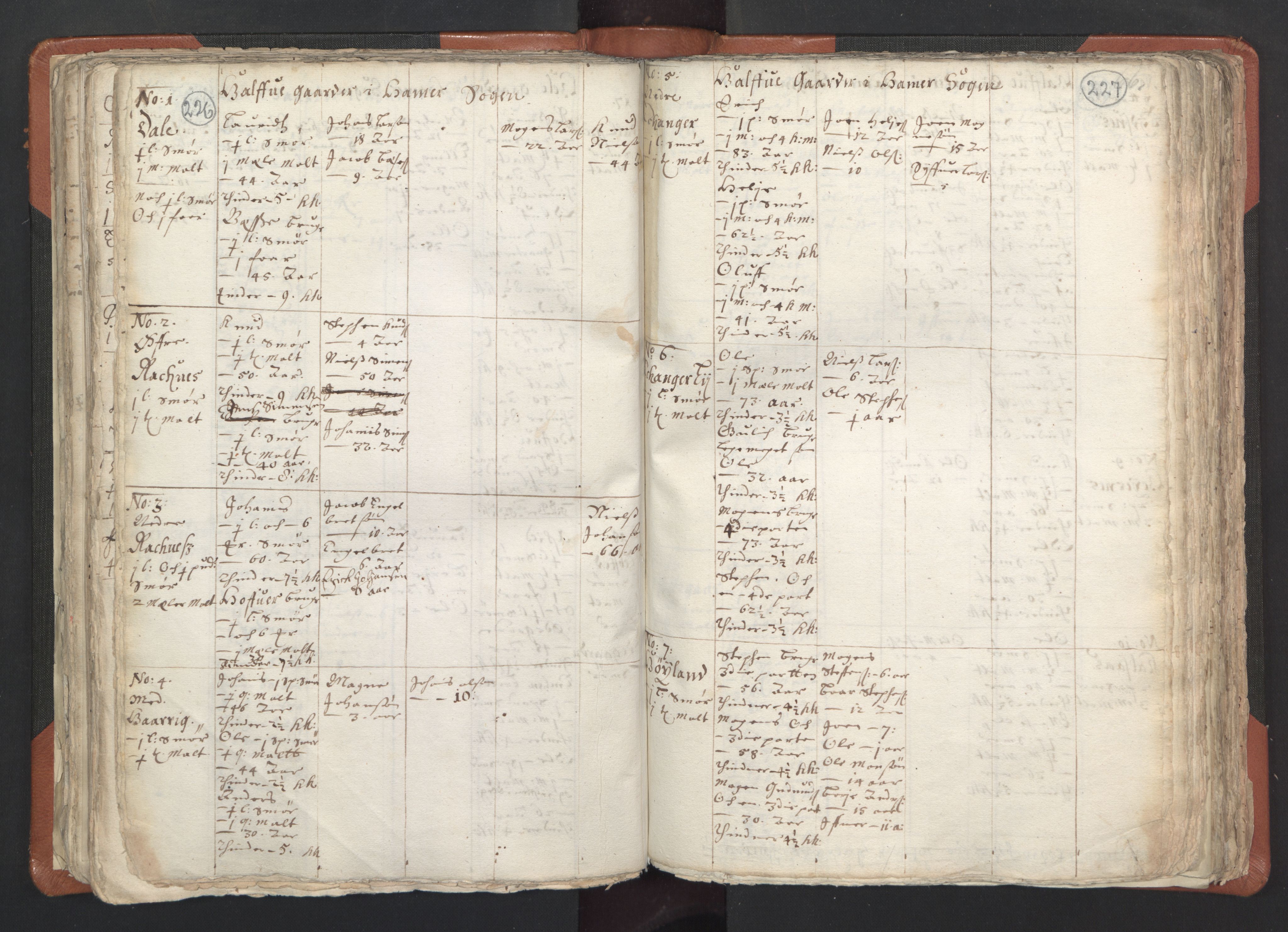 RA, Vicar's Census 1664-1666, no. 22: Nordhordland deanery, 1664-1666, p. 226-227