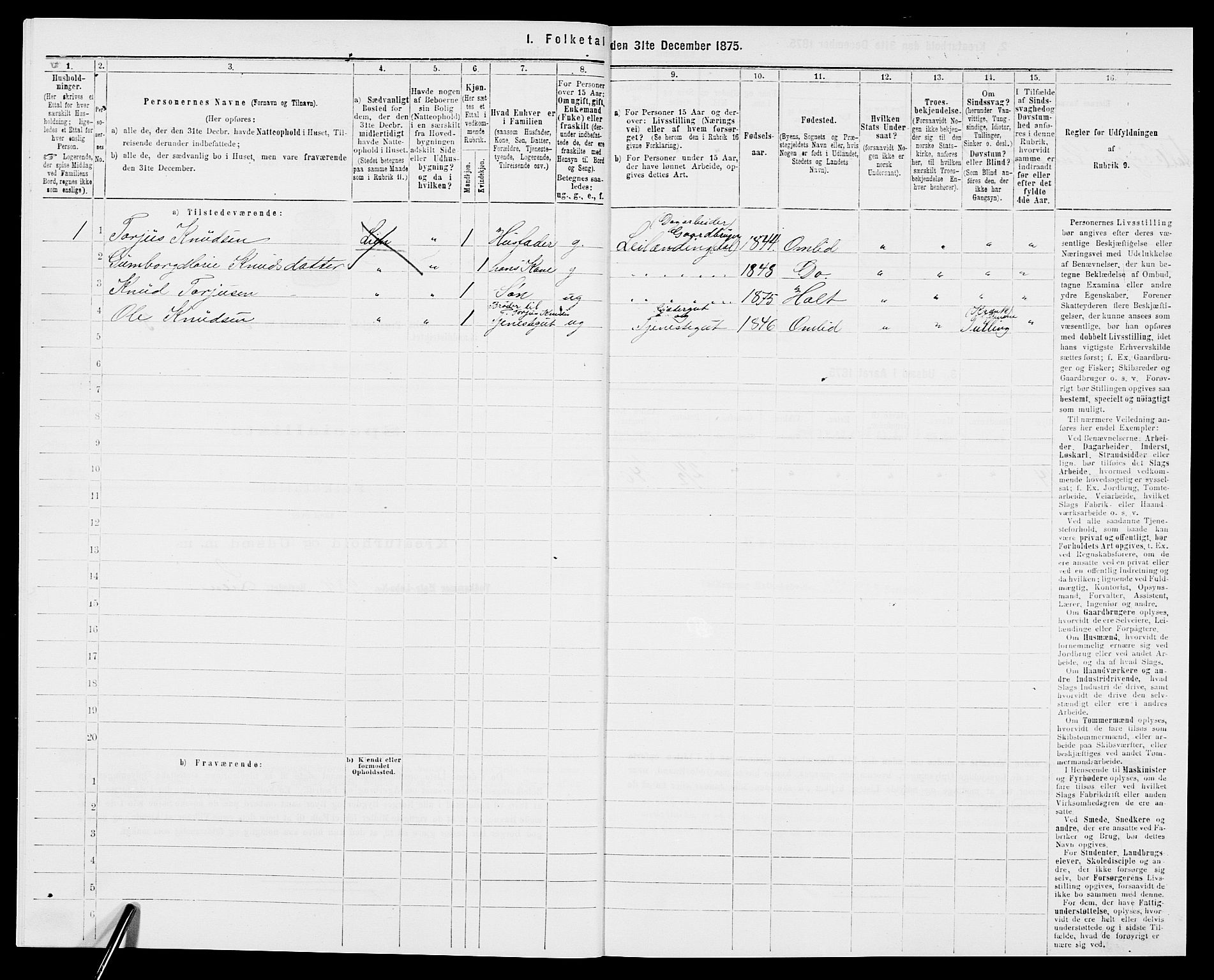 SAK, 1875 census for 0914L Holt/Holt, 1875, p. 411