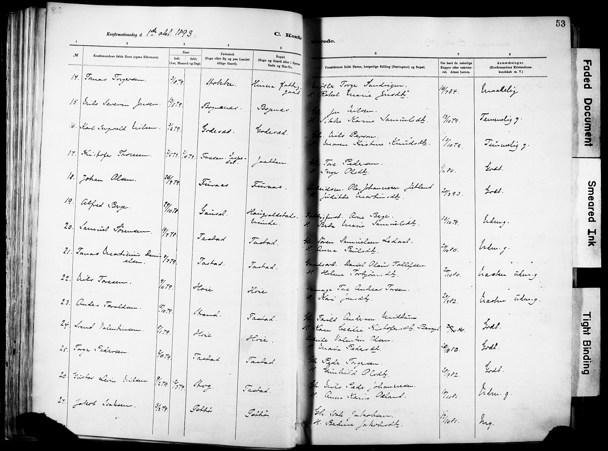 Hetland sokneprestkontor, SAST/A-101826/30/30BA/L0012: Parish register (official) no. A 12, 1882-1912, p. 53