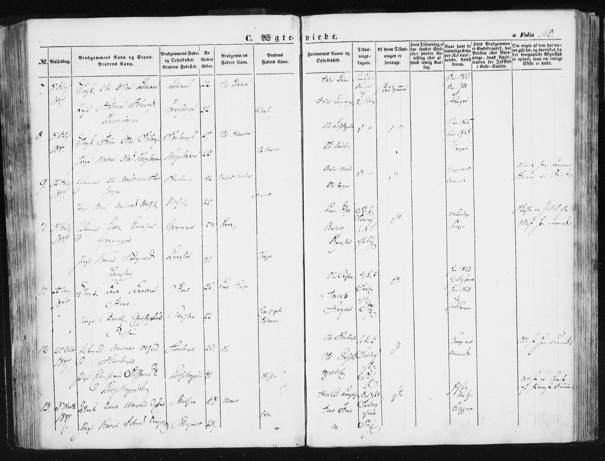 Ministerialprotokoller, klokkerbøker og fødselsregistre - Sør-Trøndelag, AV/SAT-A-1456/612/L0376: Parish register (official) no. 612A08, 1846-1859, p. 165