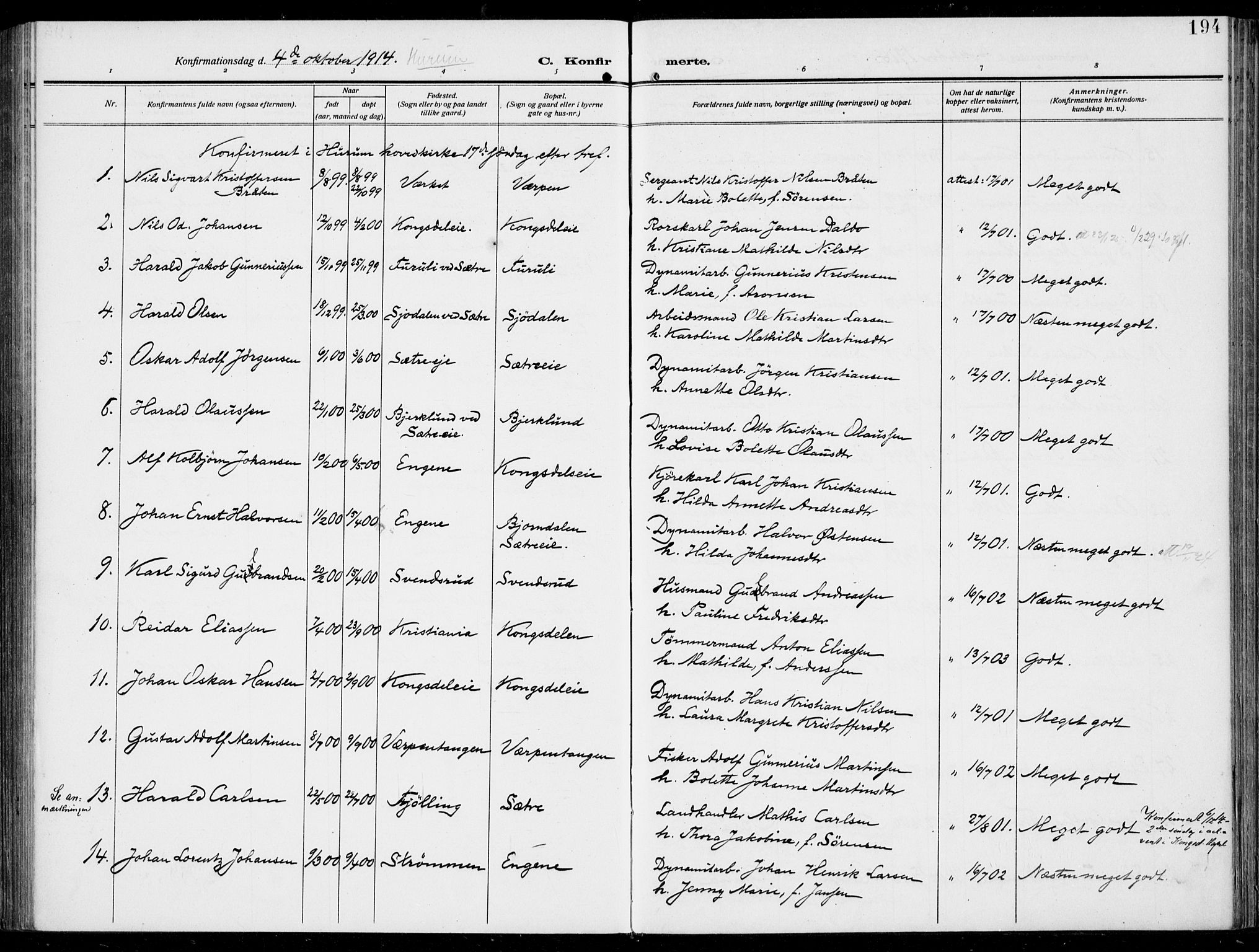 Hurum kirkebøker, AV/SAKO-A-229/F/Fa/L0016: Parish register (official) no. 16, 1899-1918, p. 194