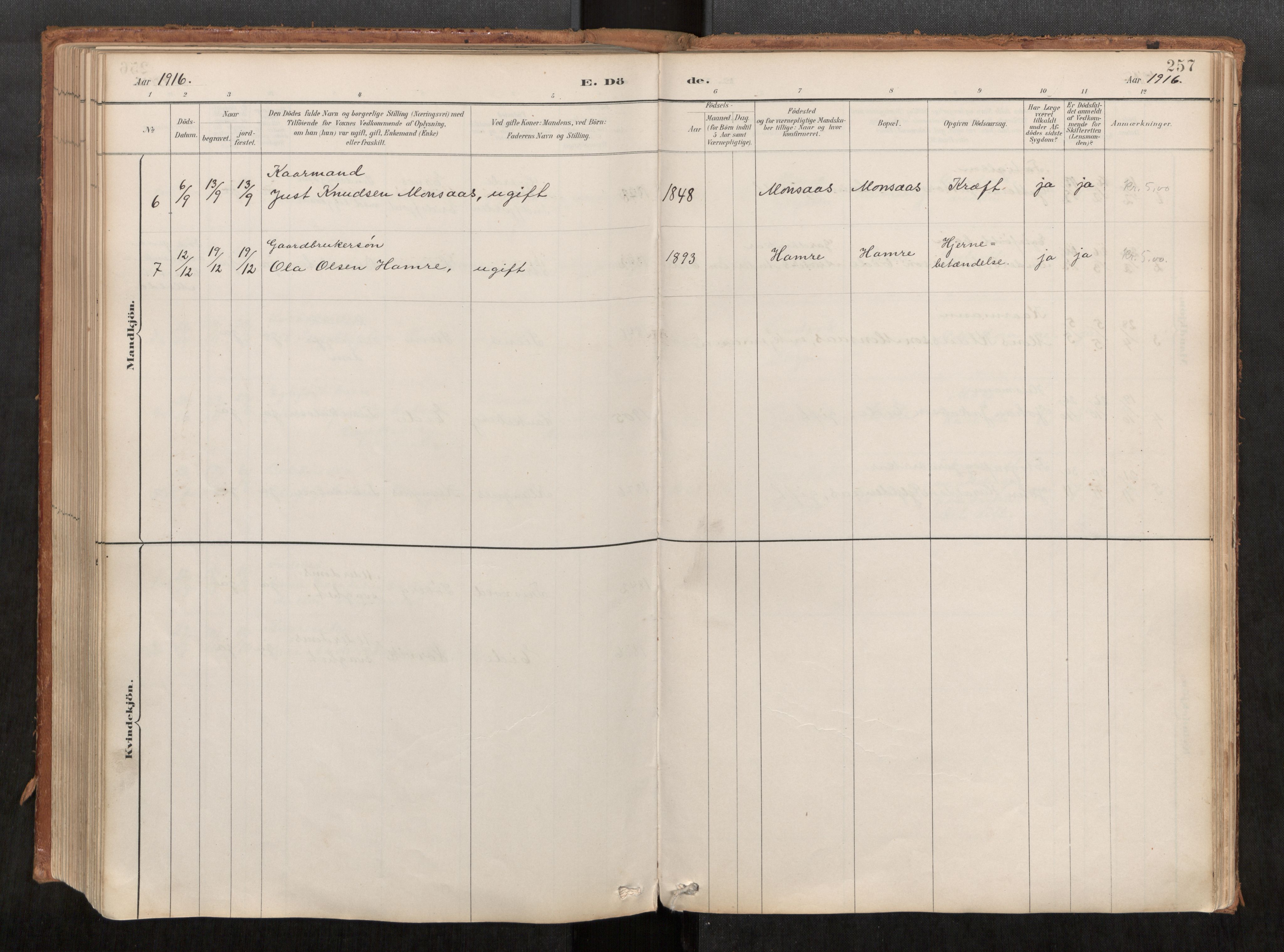 Ministerialprotokoller, klokkerbøker og fødselsregistre - Møre og Romsdal, AV/SAT-A-1454/542/L0553: Parish register (official) no. 542A03, 1885-1925, p. 257