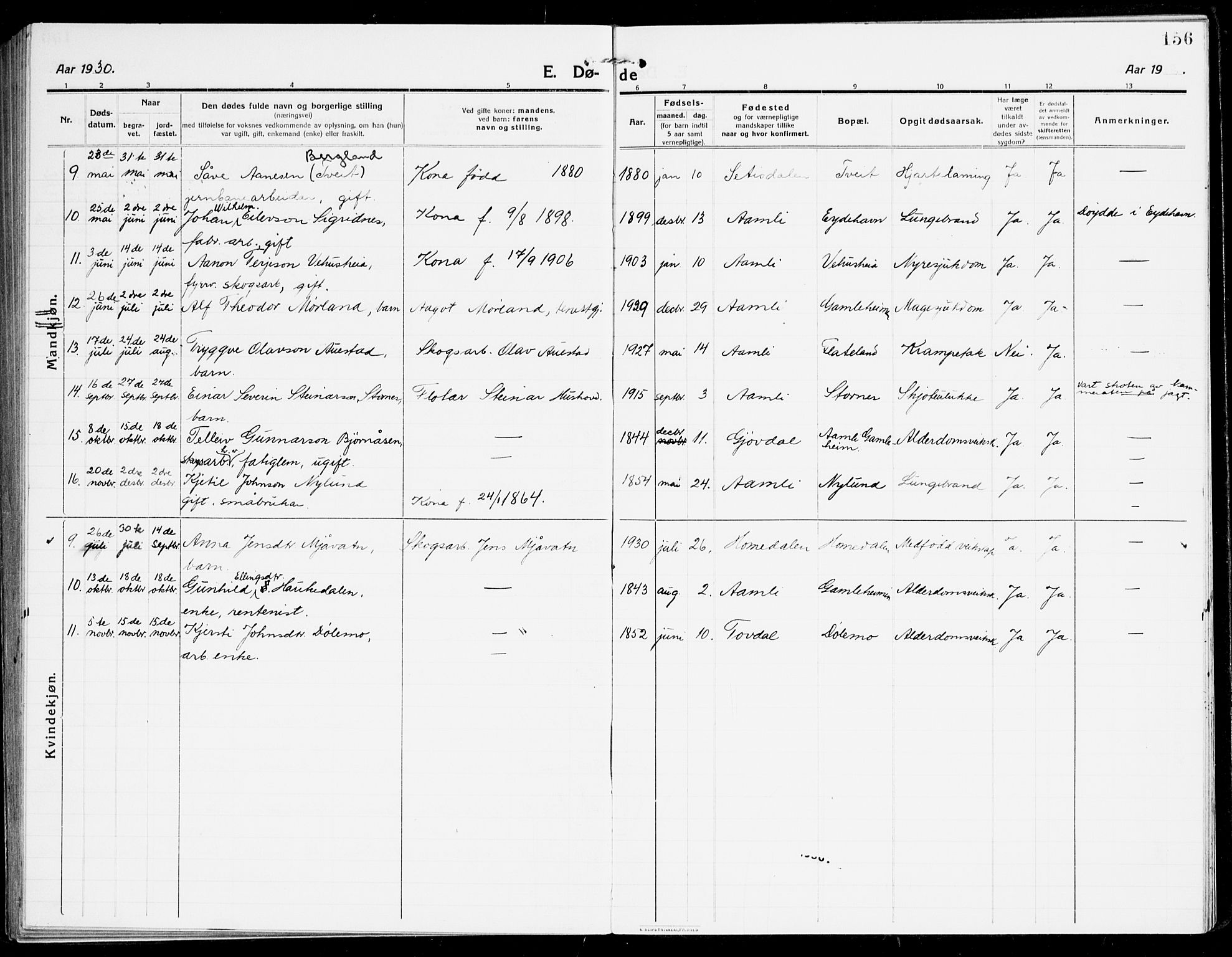 Åmli sokneprestkontor, AV/SAK-1111-0050/F/Fa/Fac/L0013: Parish register (official) no. A 13, 1914-1933, p. 156