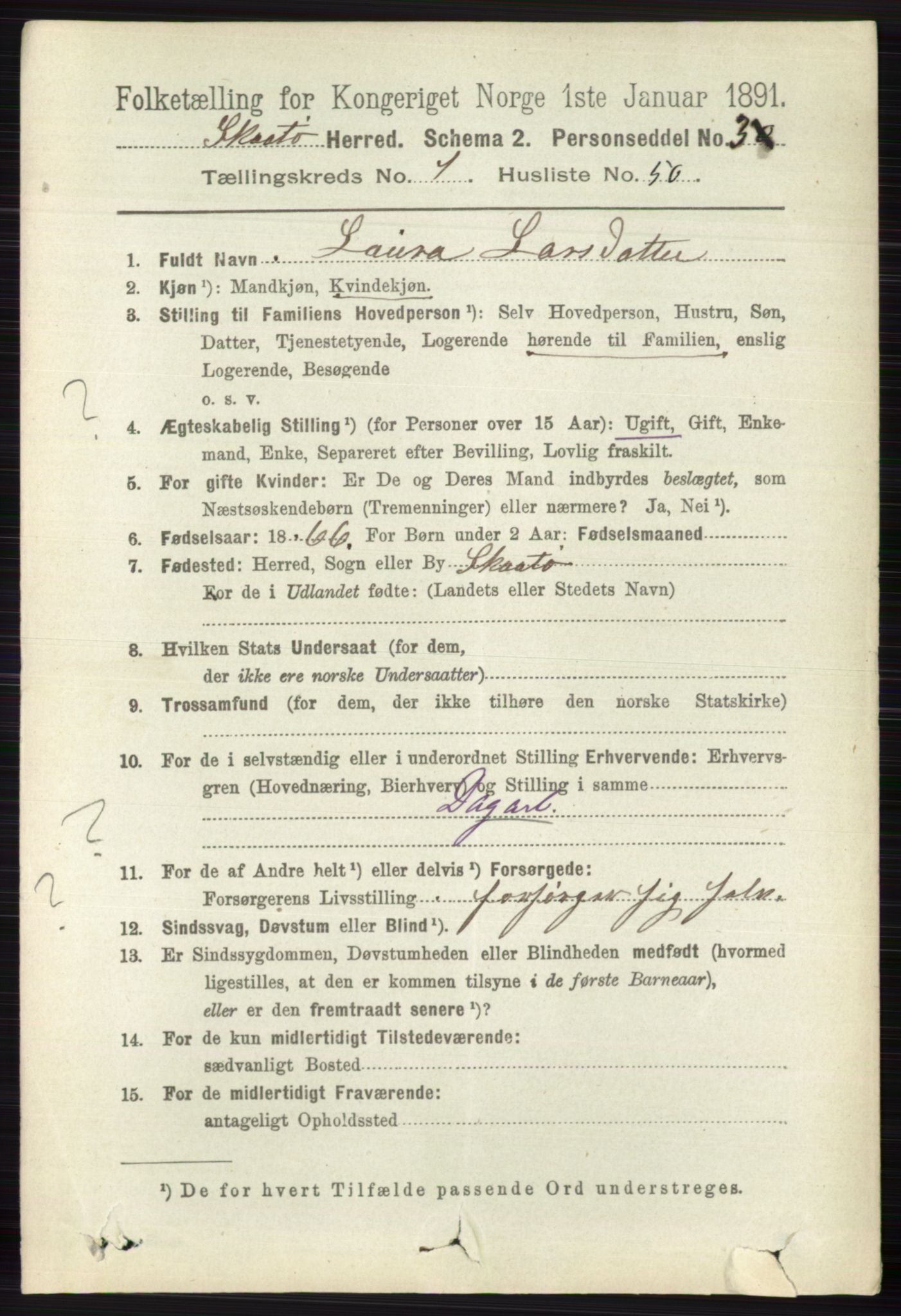 RA, 1891 census for 0815 Skåtøy, 1891, p. 382