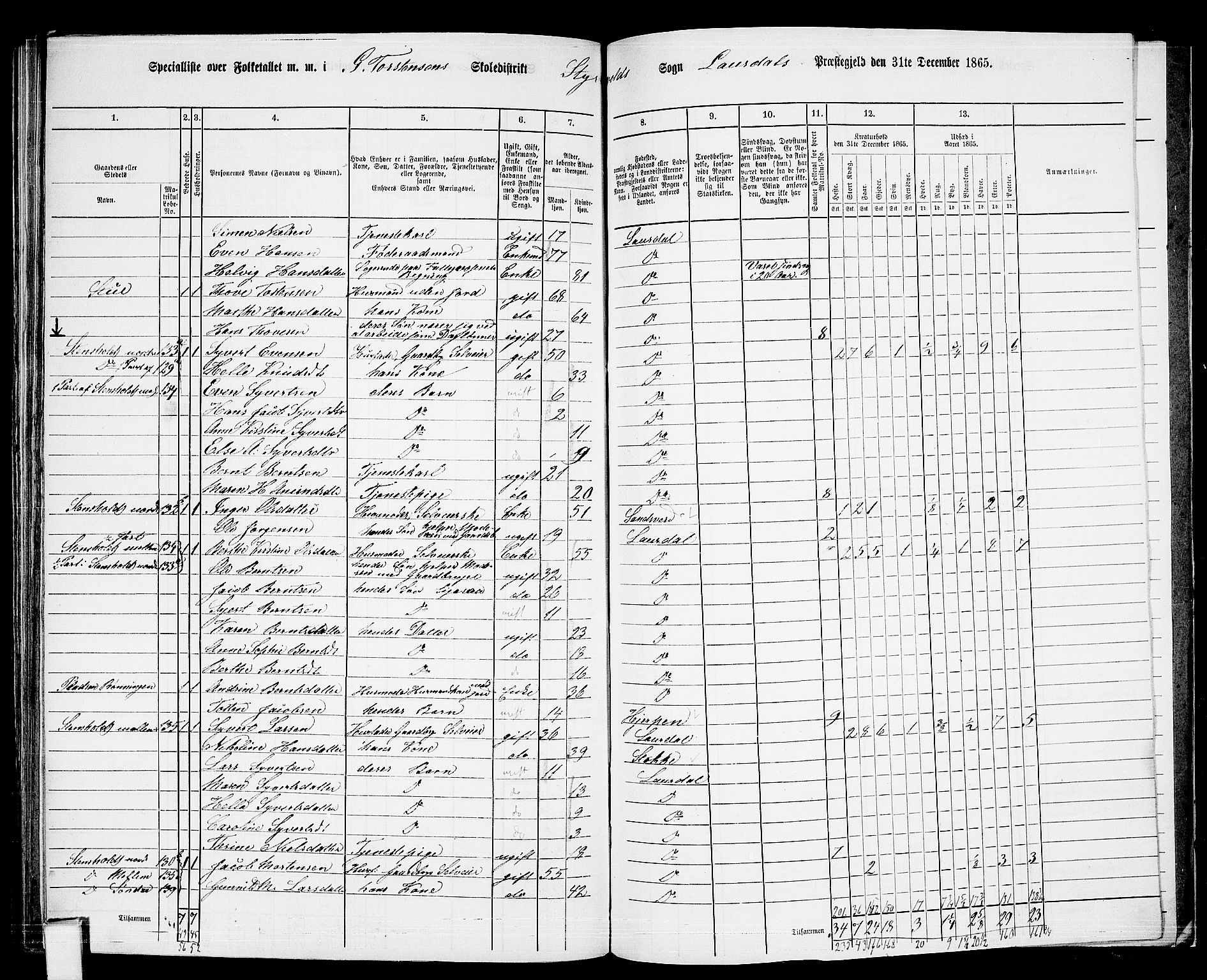 RA, 1865 census for Lardal, 1865, p. 99