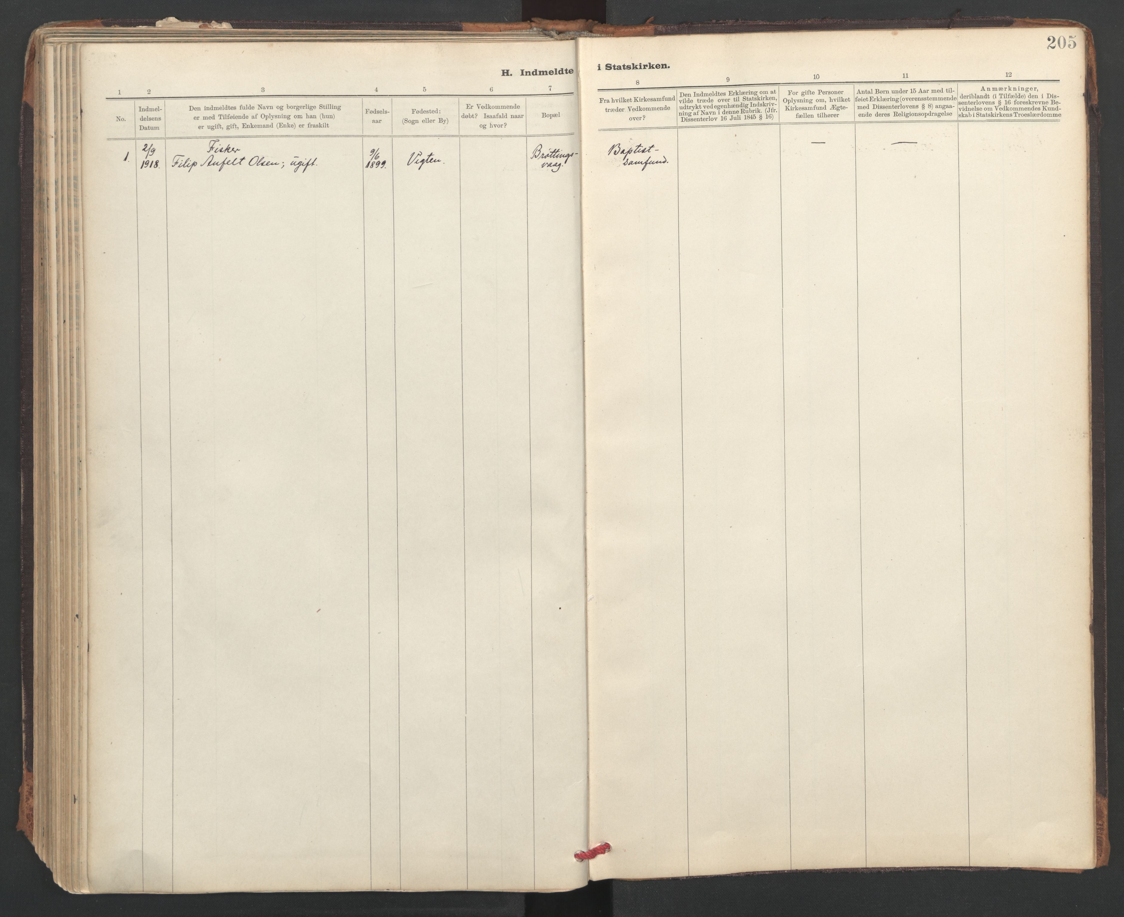 Ministerialprotokoller, klokkerbøker og fødselsregistre - Sør-Trøndelag, AV/SAT-A-1456/637/L0559: Parish register (official) no. 637A02, 1899-1923, p. 205